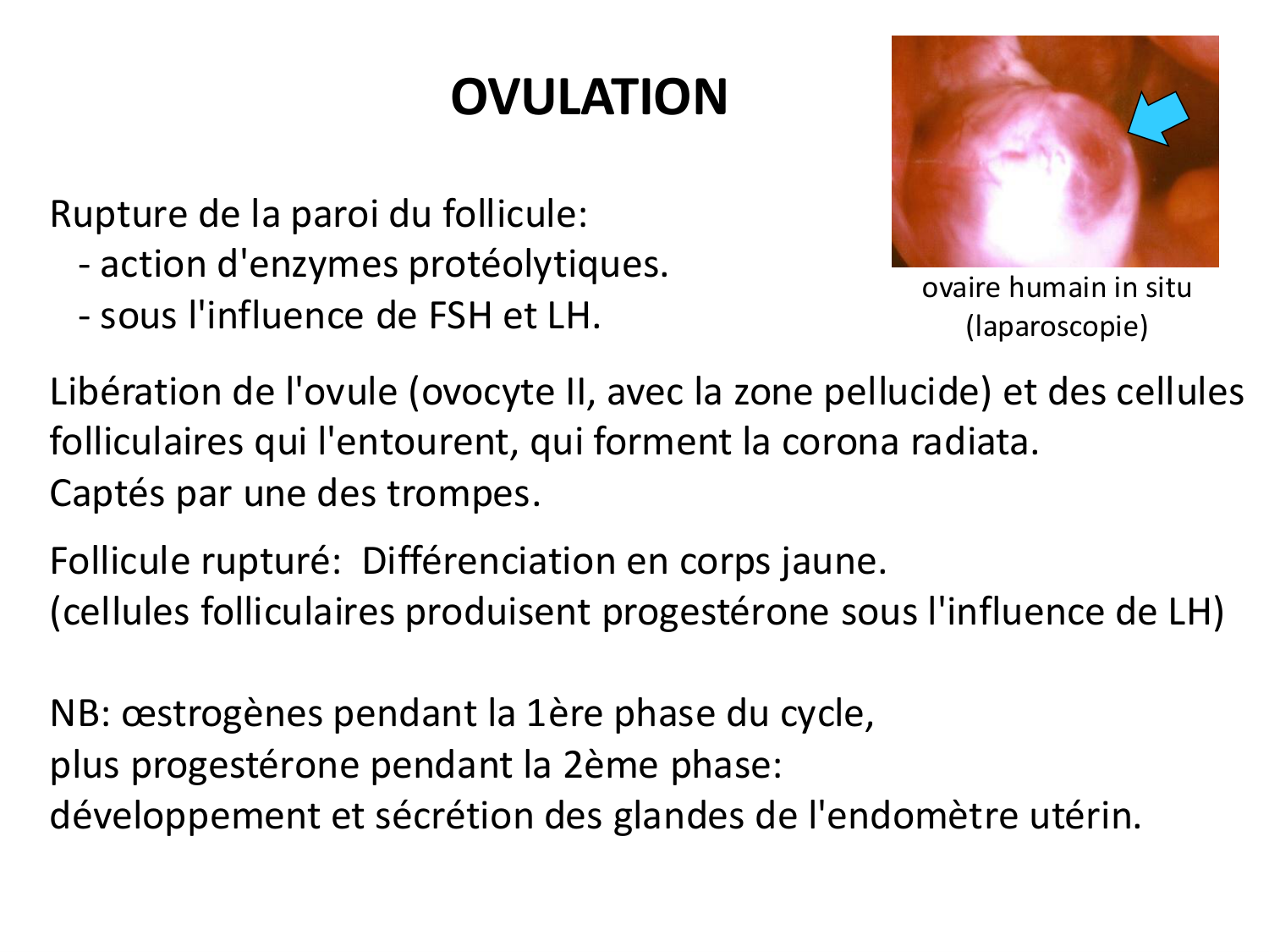 Fécondation et empreinte génomique page 23