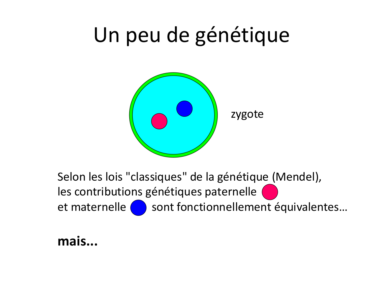 Fécondation et empreinte génomique page 56