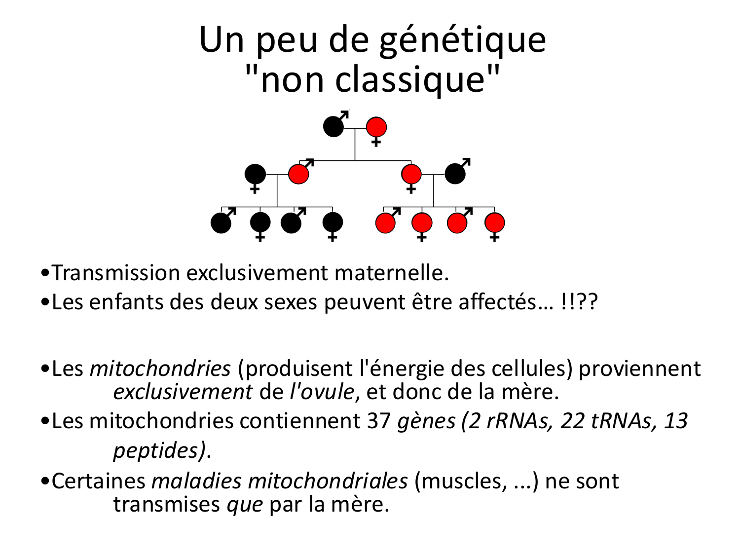 Fécondation et empreinte génomique page 57