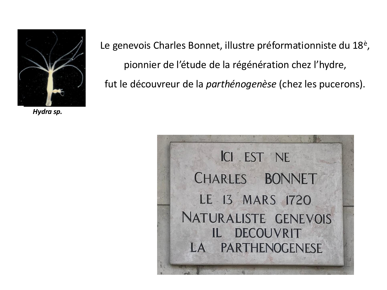 Fécondation et empreinte génomique page 66
