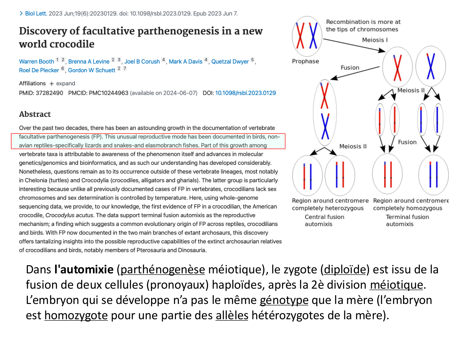 Fécondation et empreinte génomique page 67