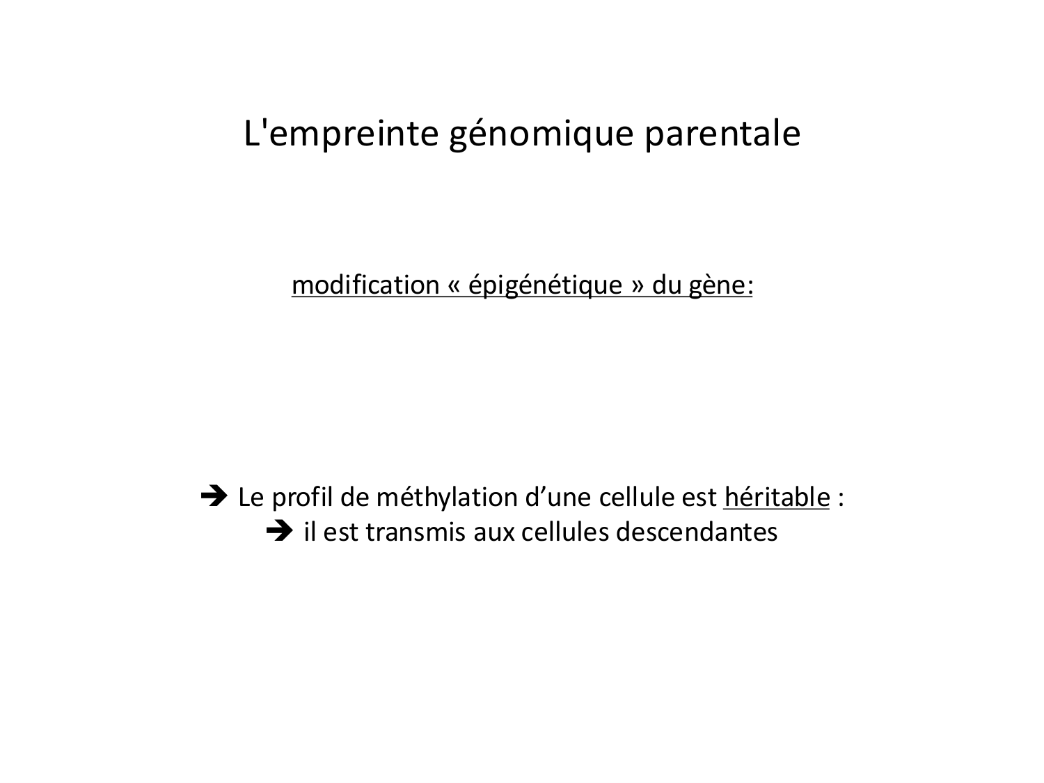 Fécondation et empreinte génomique page 77