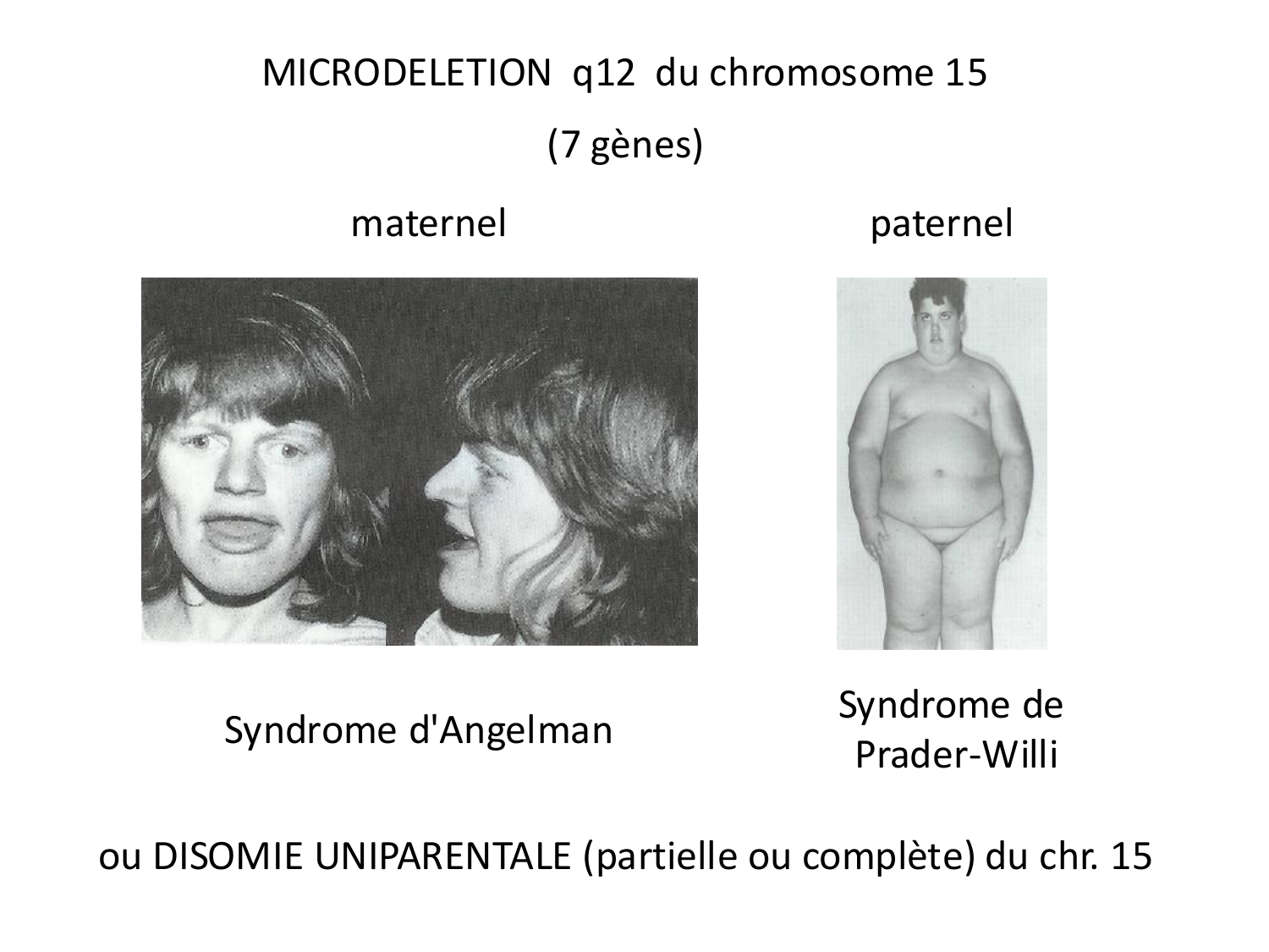 Fécondation et empreinte génomique page 83