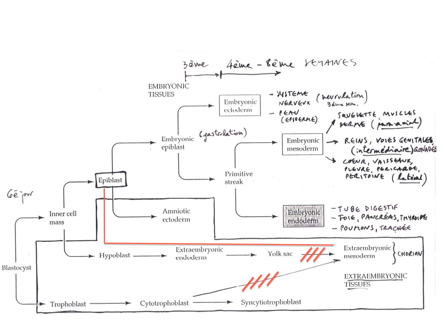 trois feuillets-2premiers mois-jumeaux page 1