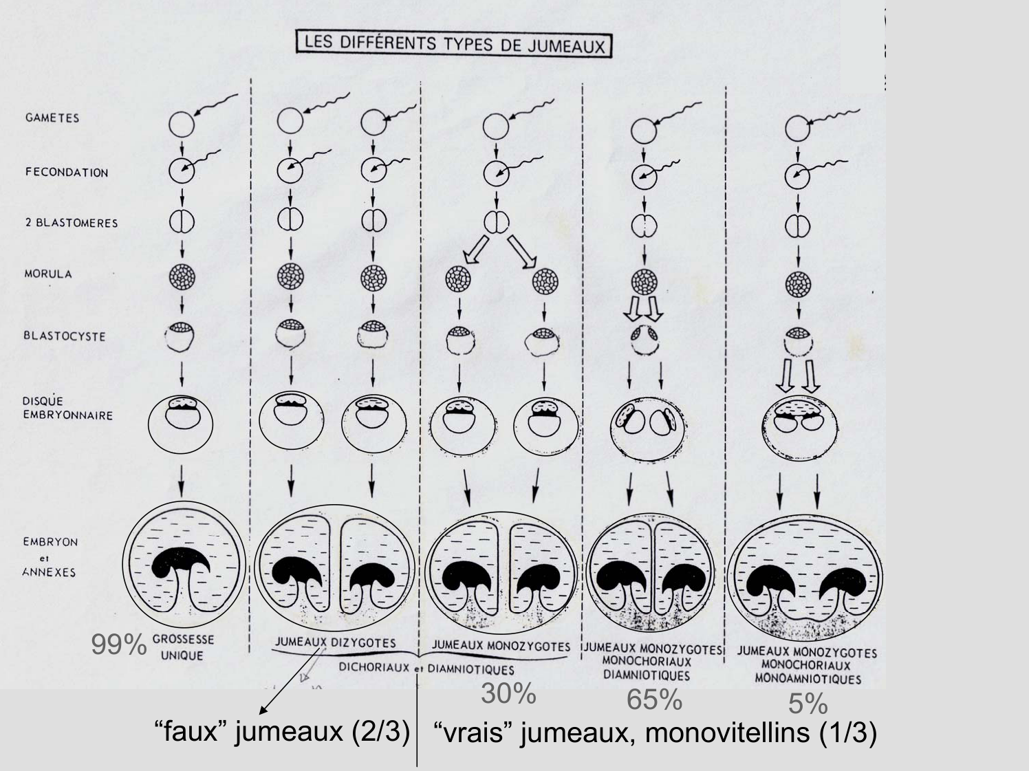 trois feuillets-2premiers mois-jumeaux page 3