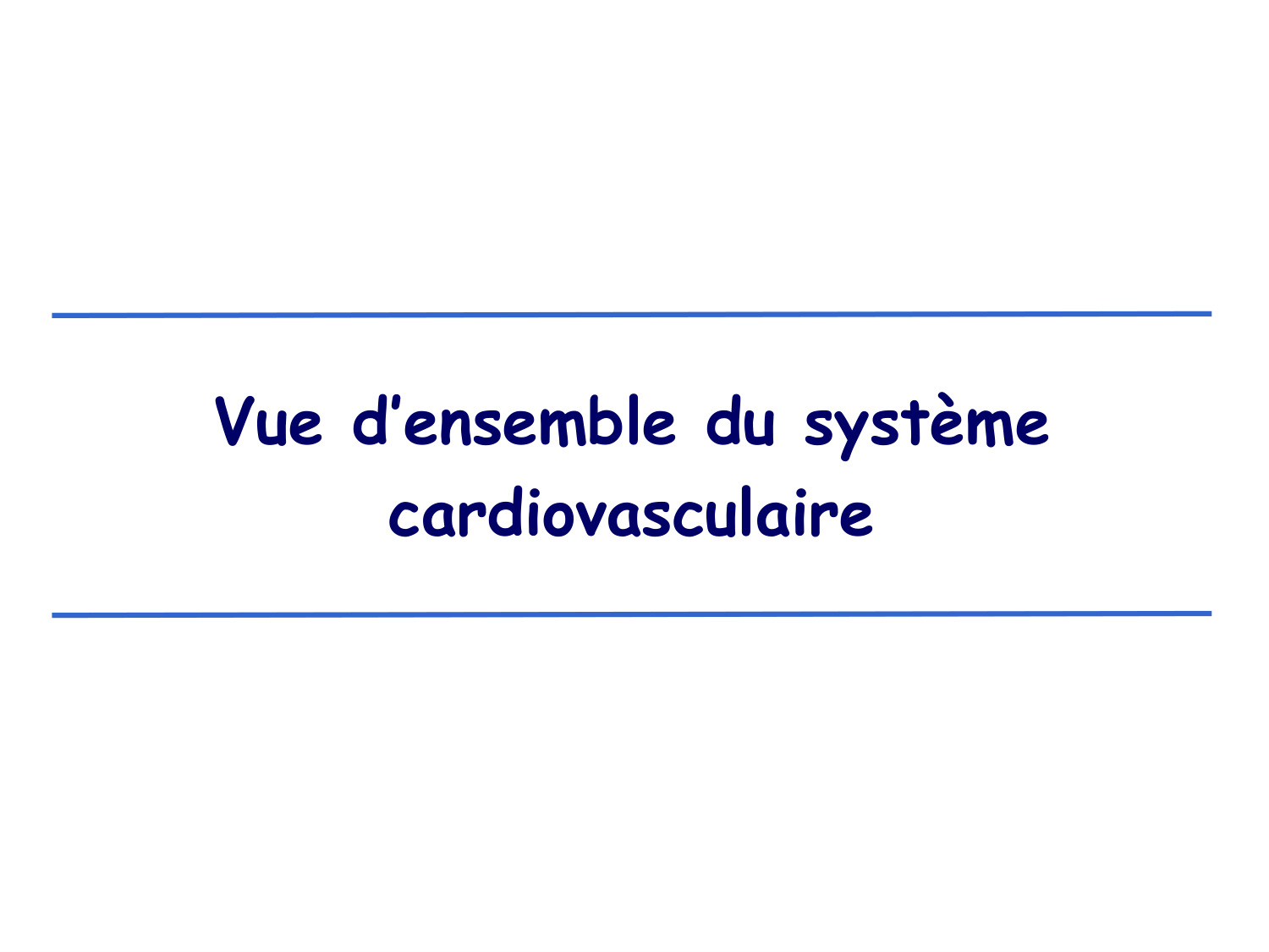 Physiologie cardiovasculaire I page 3