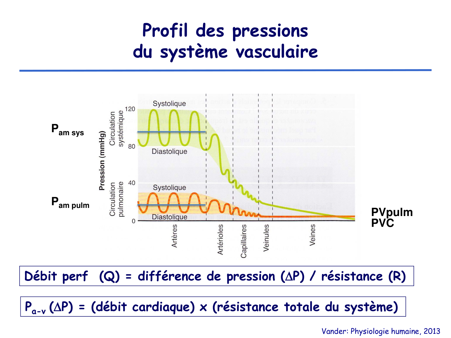 Physiologie cardiovasculaire I page 18