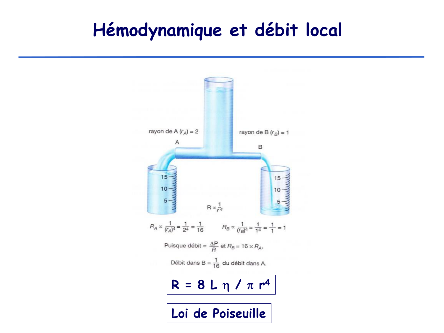 Physiologie cardiovasculaire I page 21