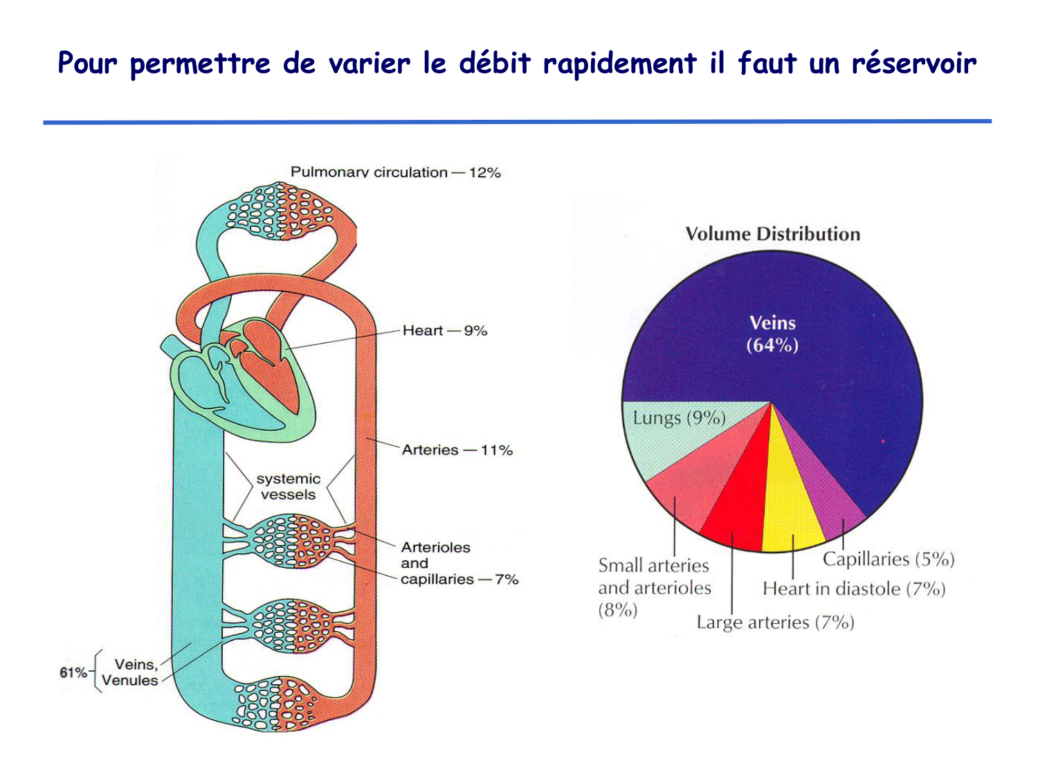 Physiologie cardiovasculaire I page 26