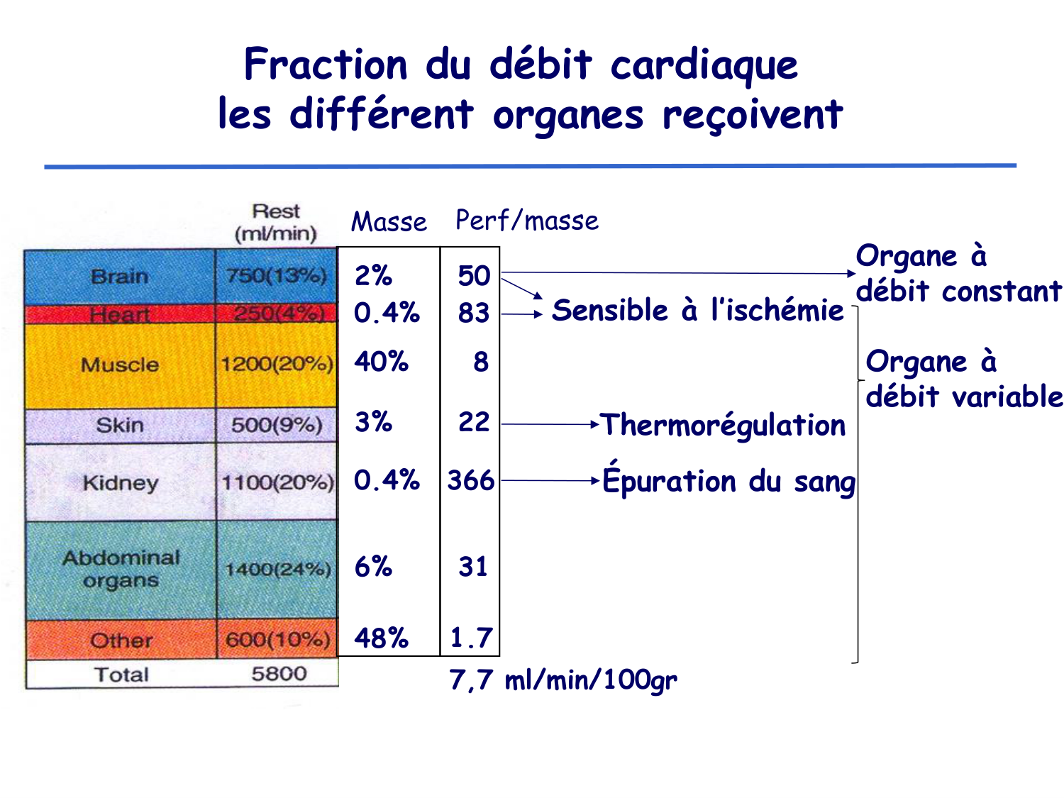 Physiologie cardiovasculaire I page 27