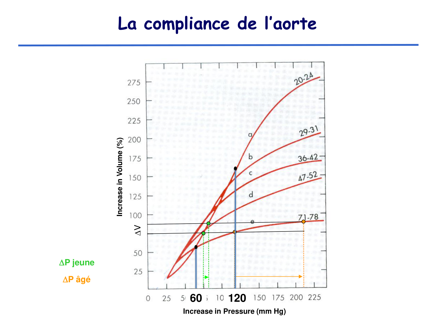Physiologie cardiovasculaire II page 11