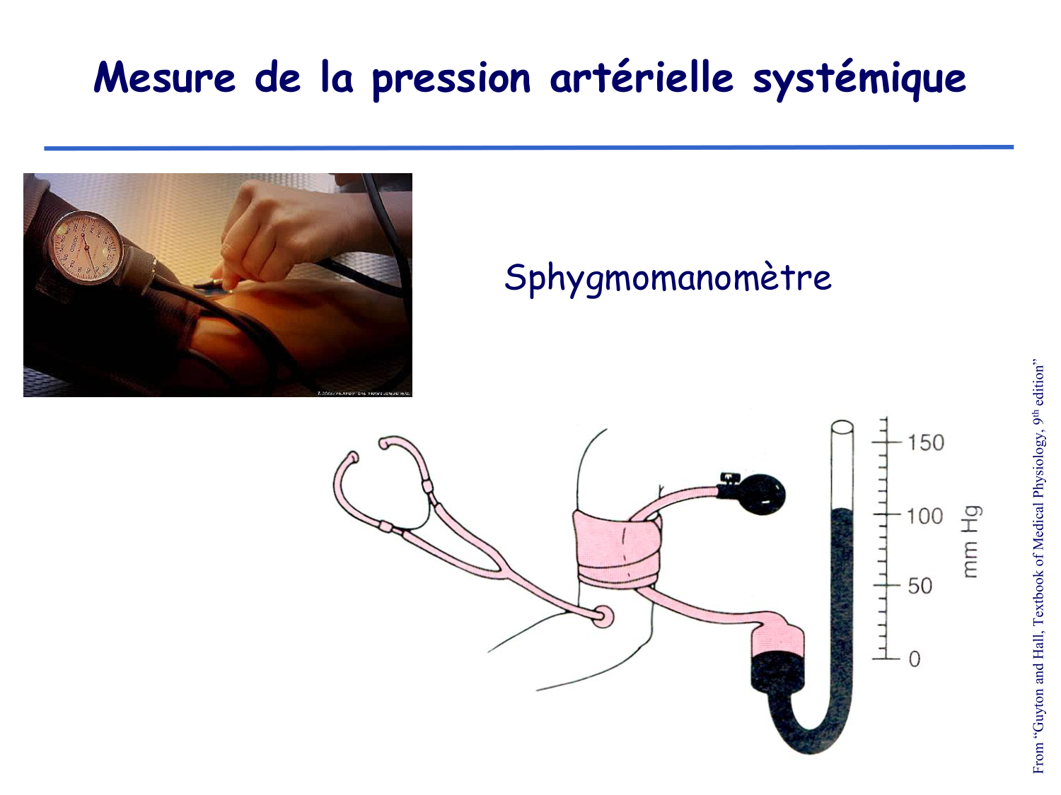 Physiologie cardiovasculaire II page 13
