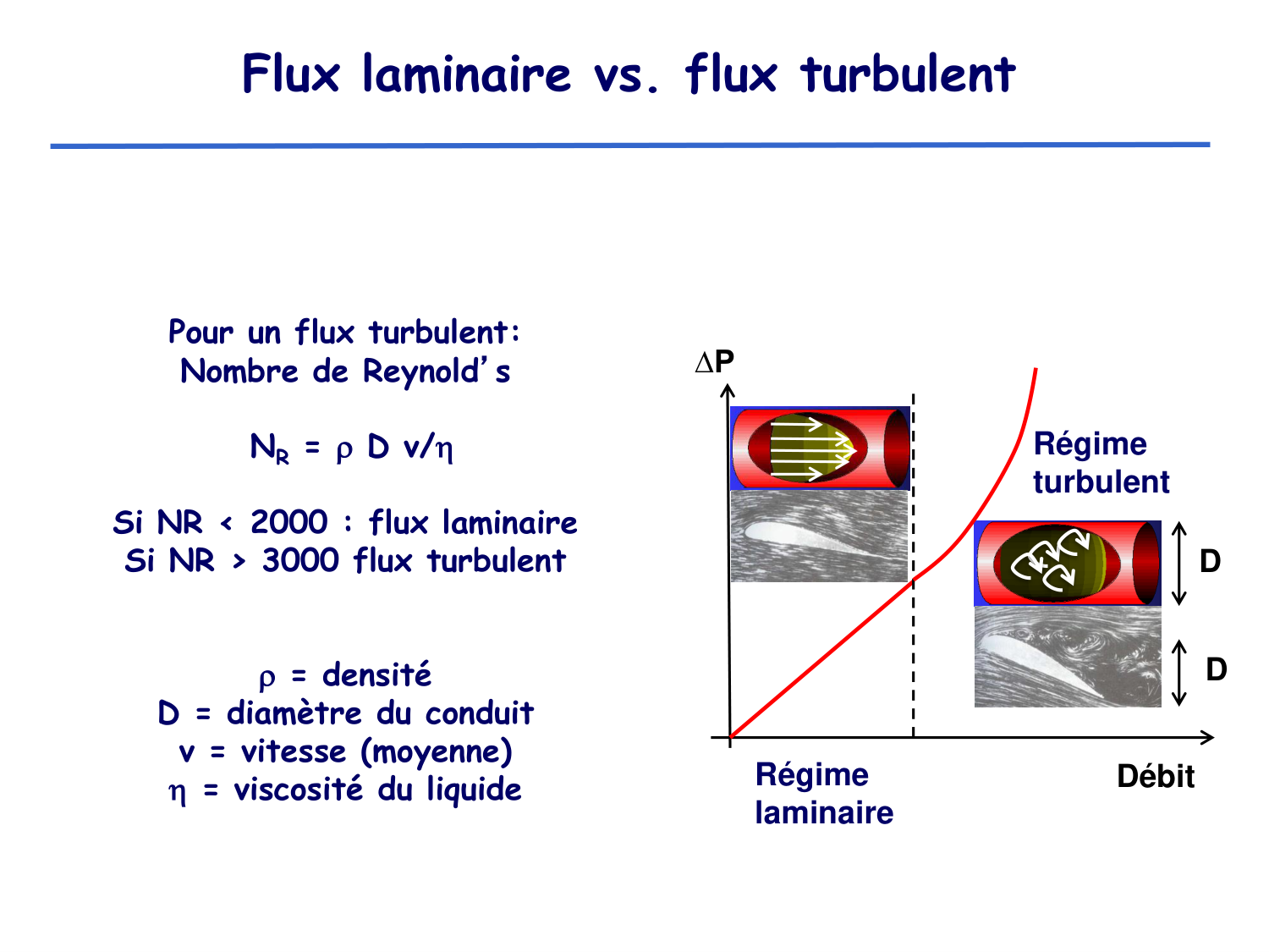 Physiologie cardiovasculaire II page 15