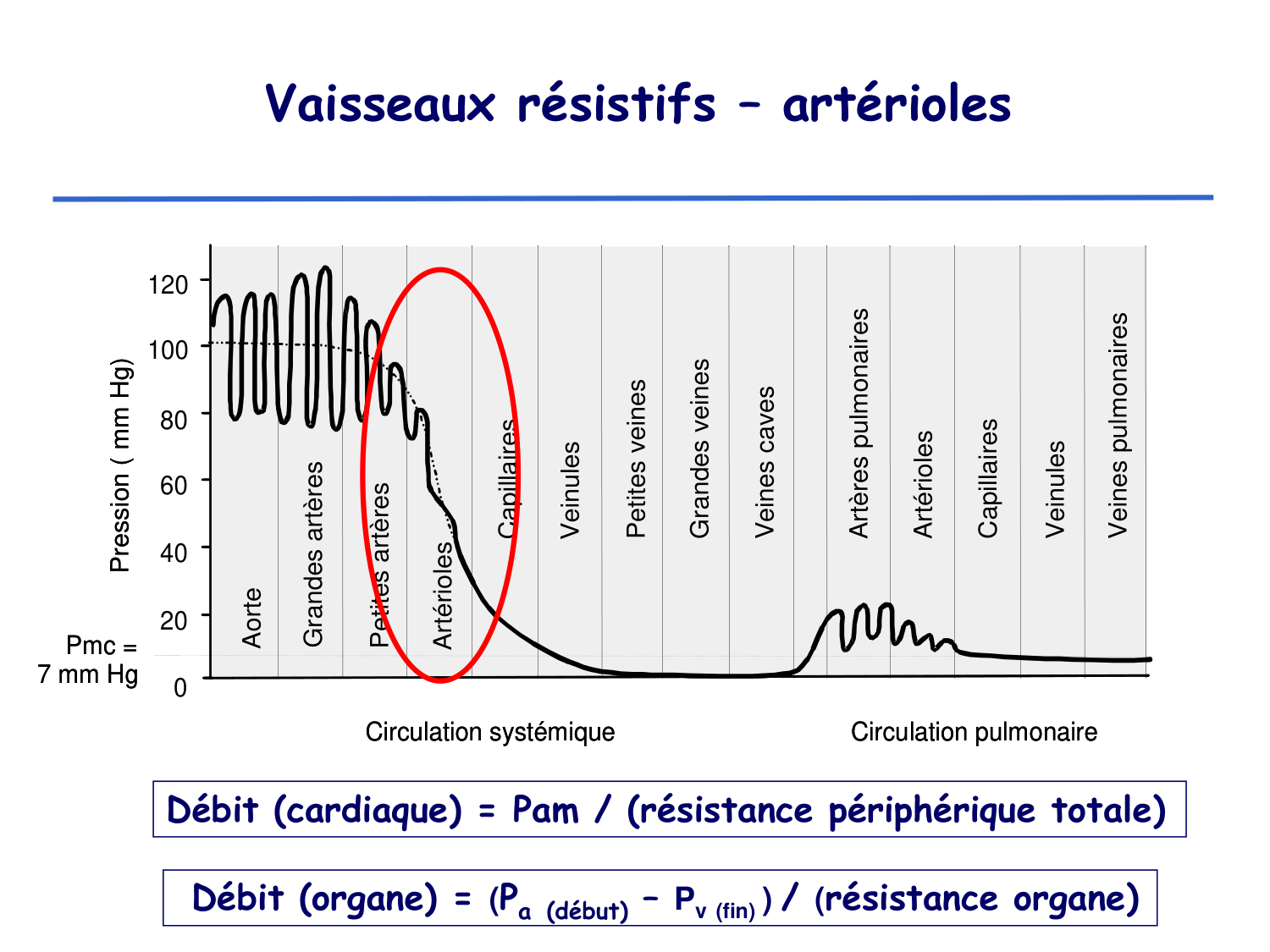 Physiologie cardiovasculaire II page 17