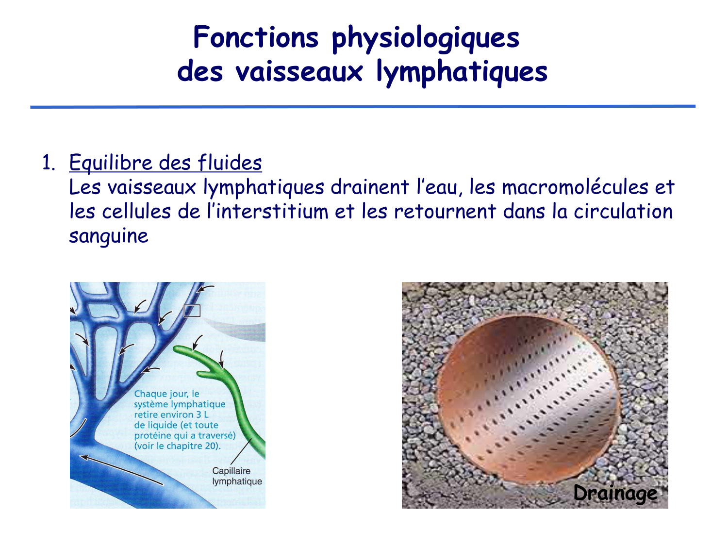 Physiologie cardiovasculaire II page 40