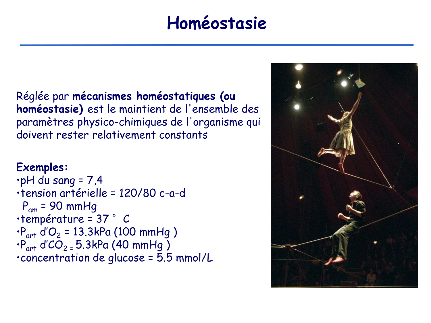 Physiologie cardiovasculaire III page 3