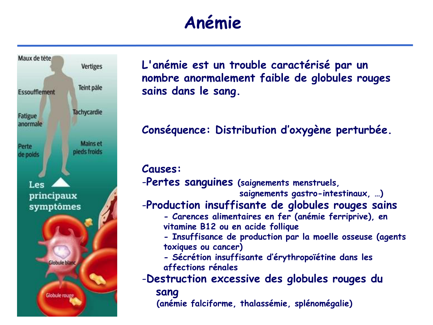 Physiologie cardiovasculaire III page 10