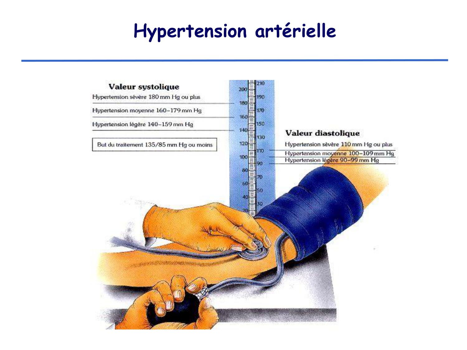 Physiologie cardiovasculaire III page 21