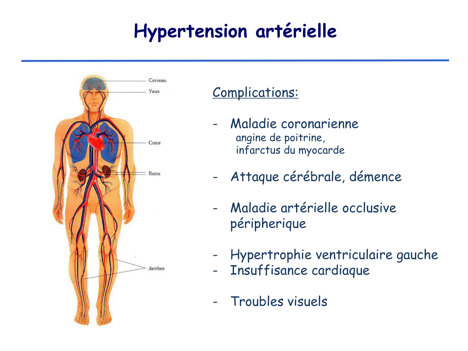 Physiologie cardiovasculaire III page 24