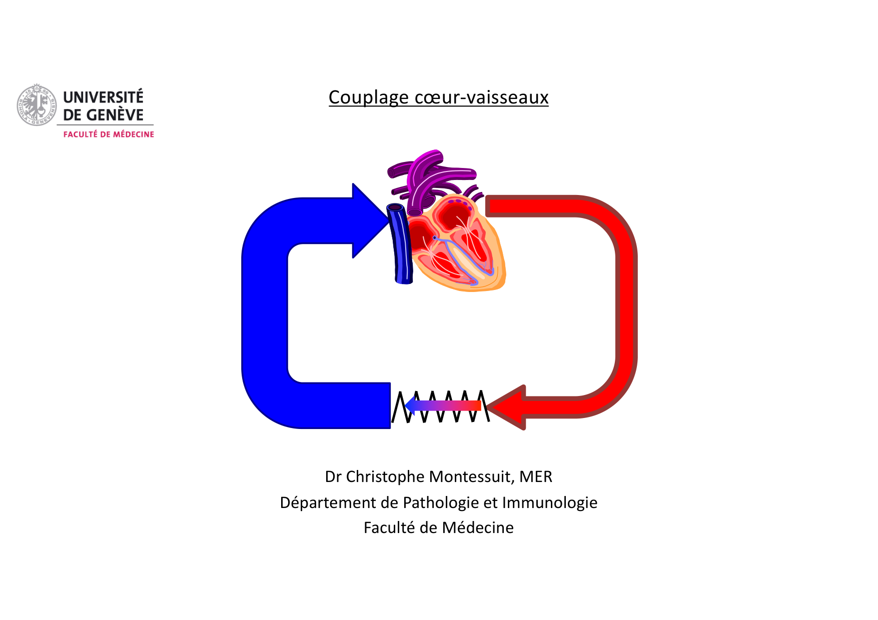 Couplage cœur-vaisseaux page 1