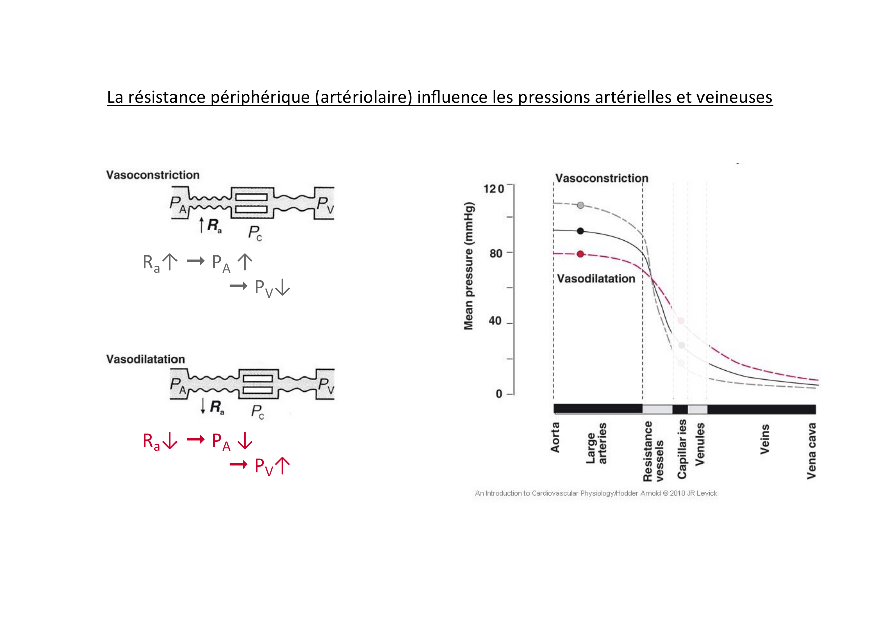 Couplage cœur-vaisseaux page 4