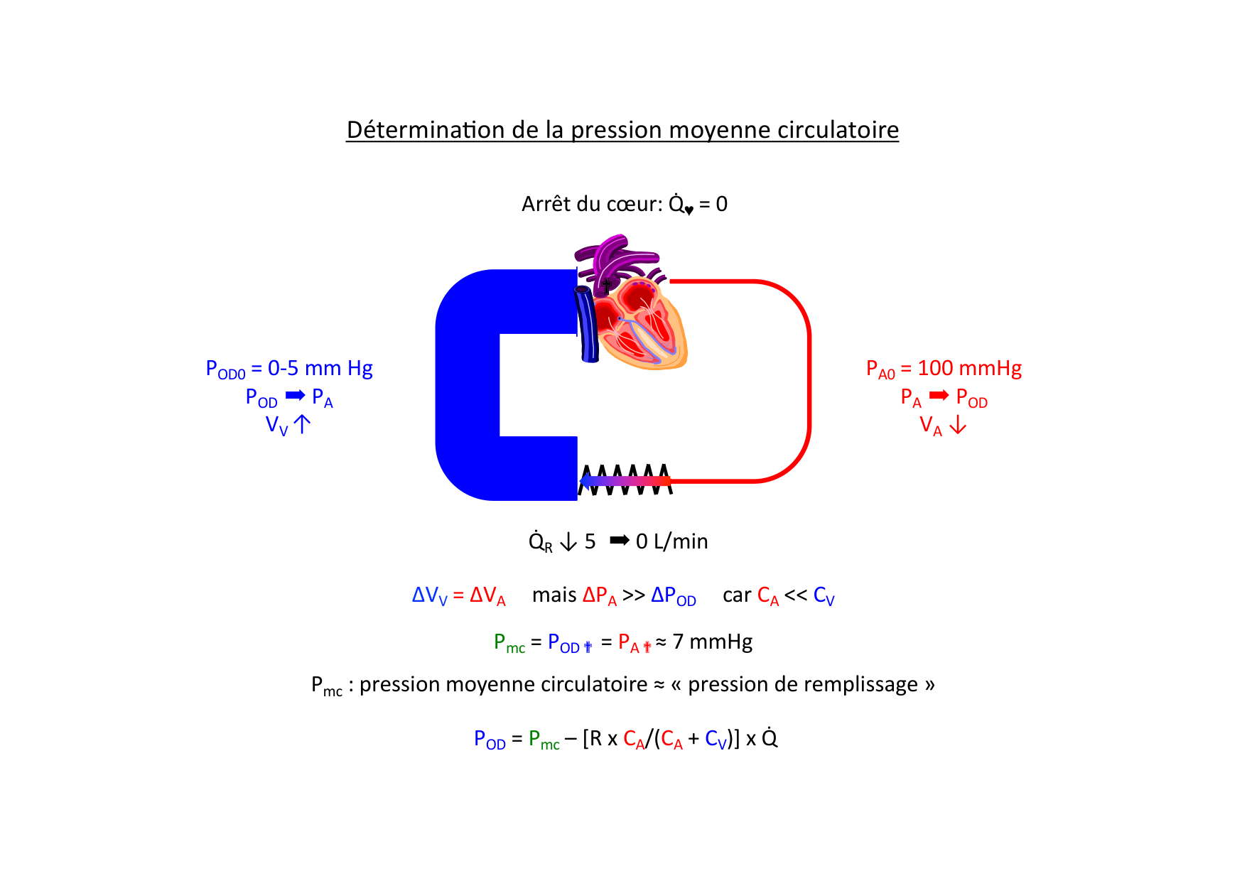 Couplage cœur-vaisseaux page 6