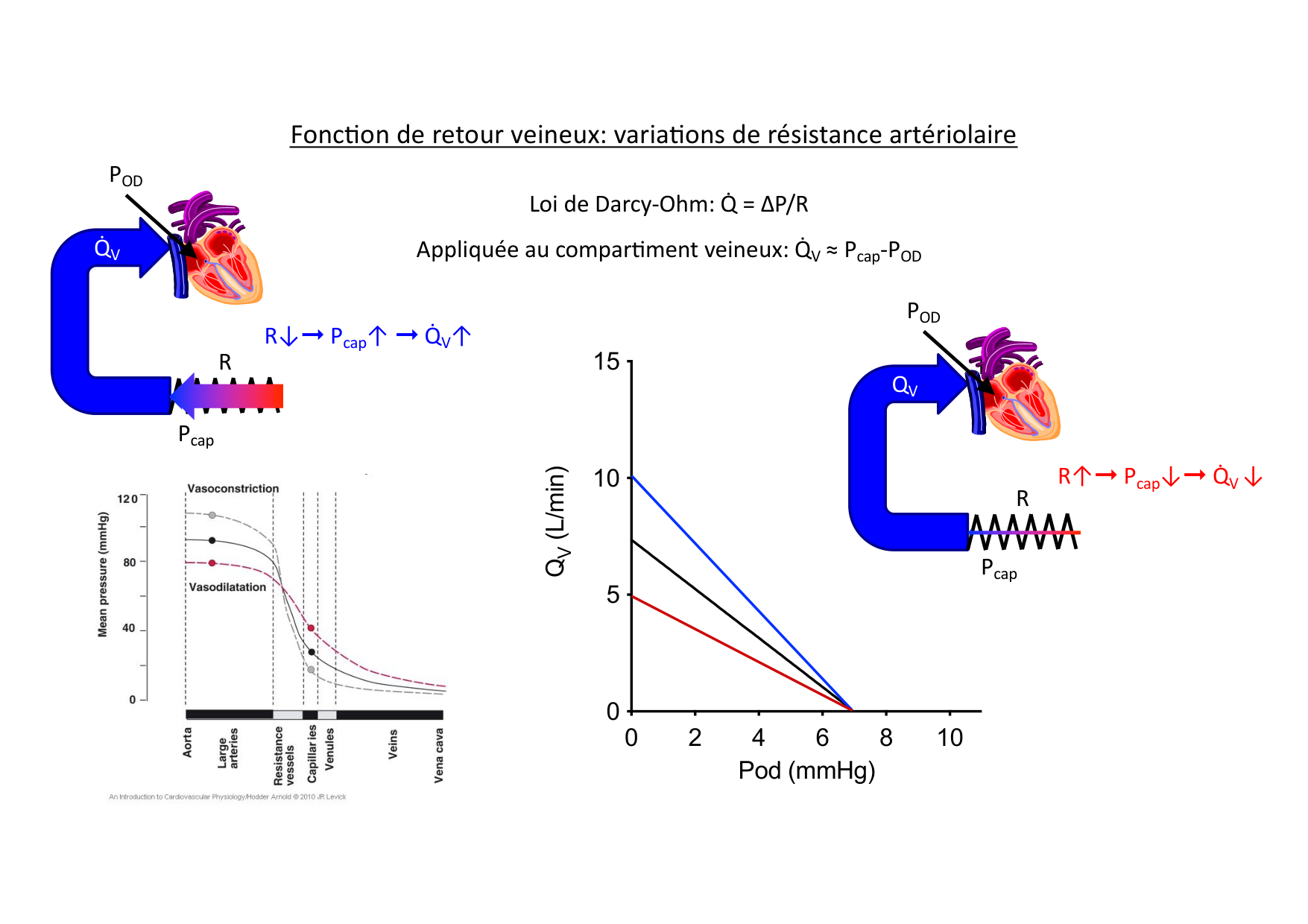 Couplage cœur-vaisseaux page 8