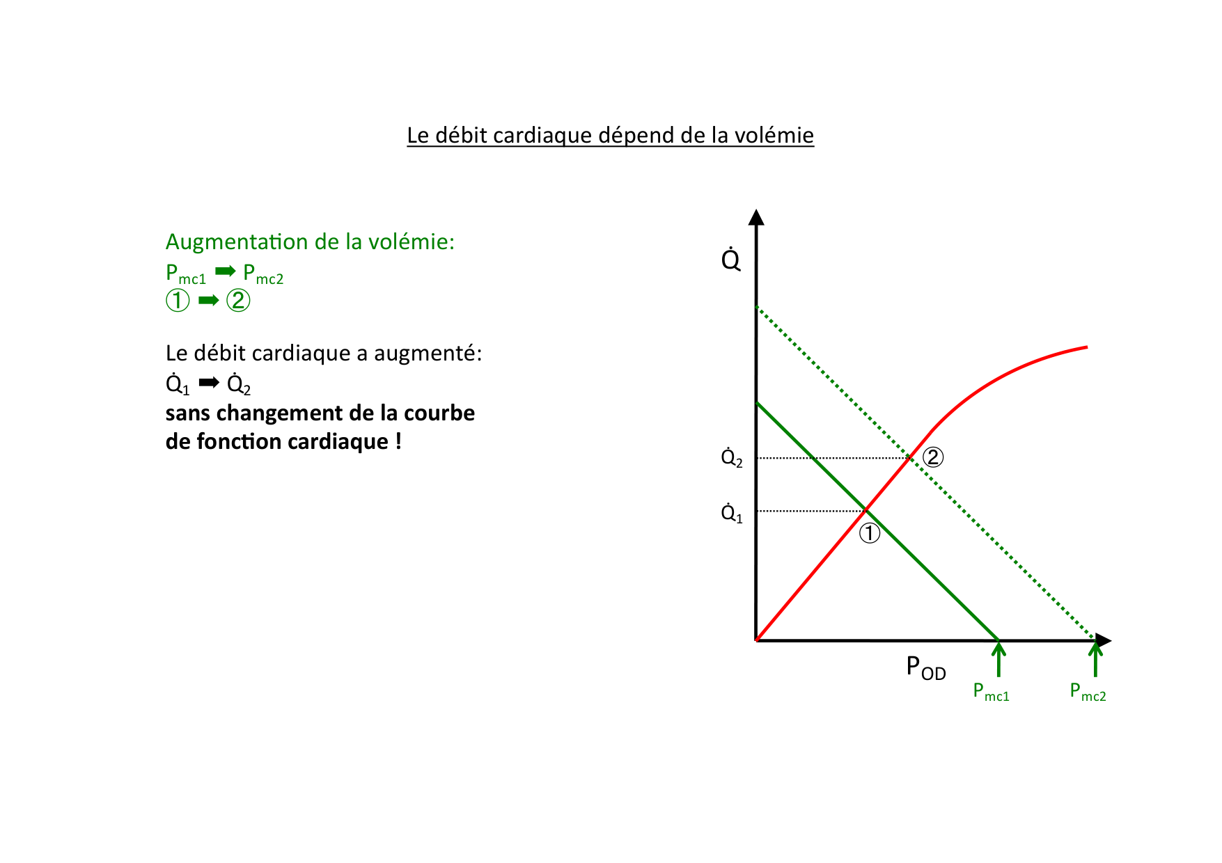 Couplage cœur-vaisseaux page 10