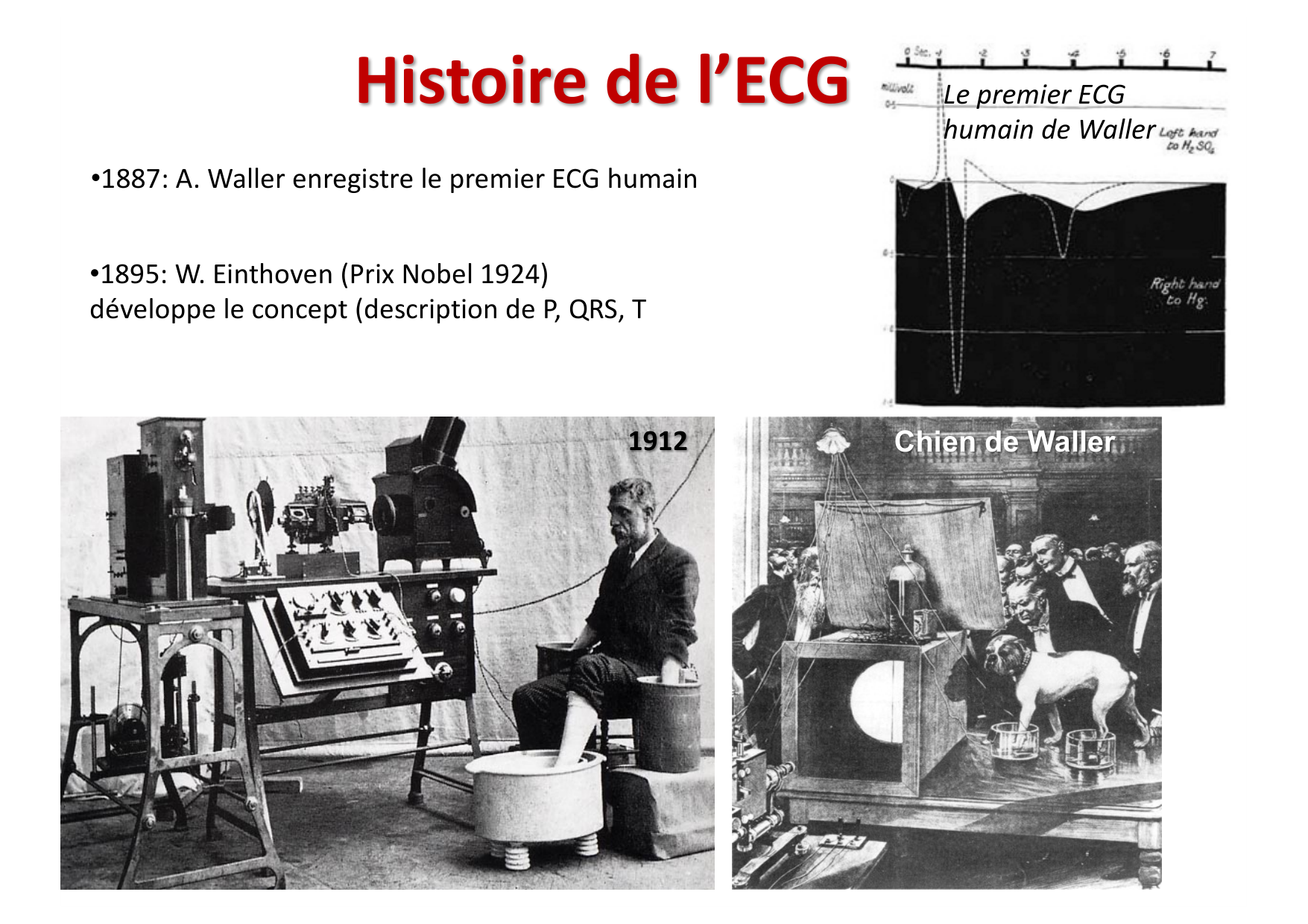 ECG — bases page 2