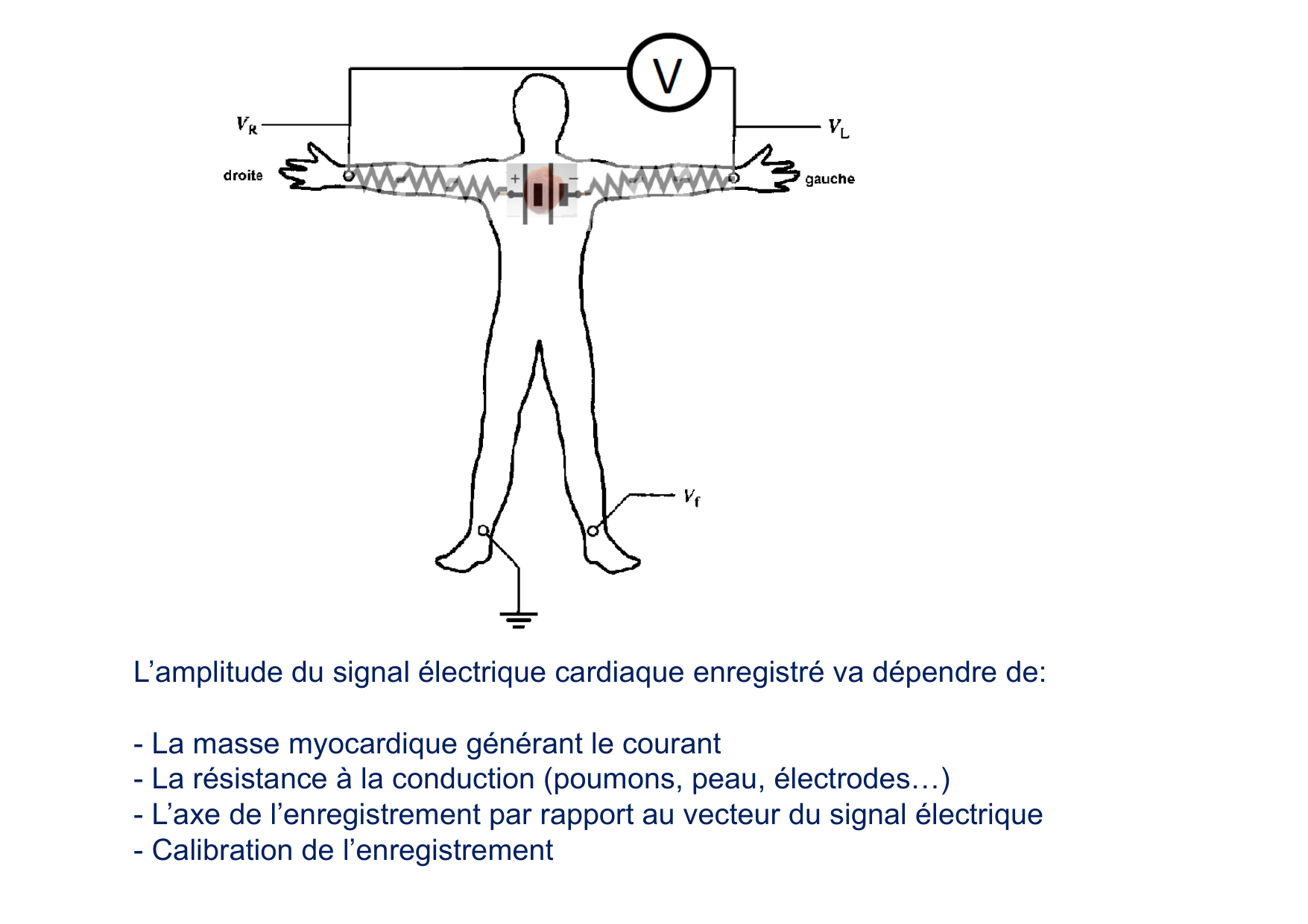 ECG — bases page 4