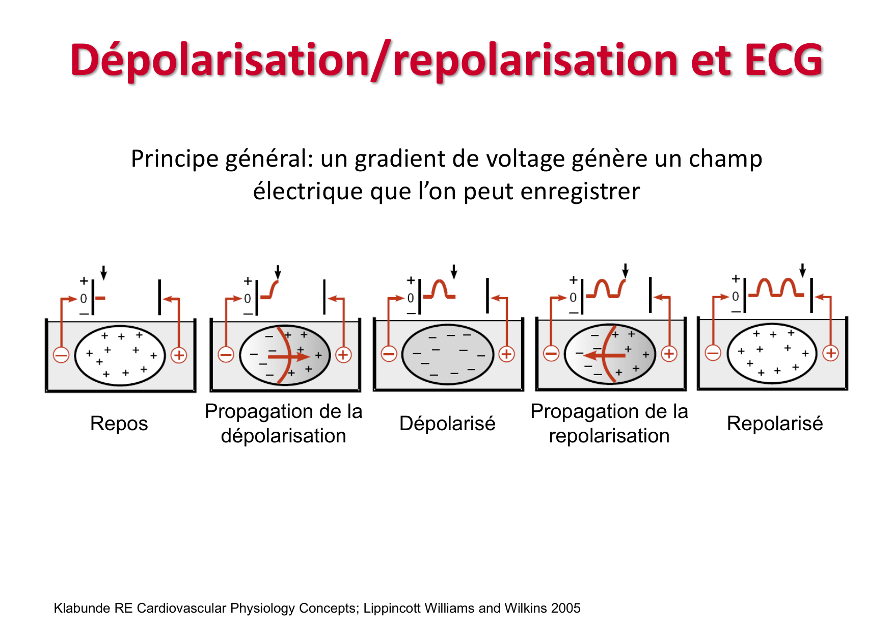 ECG — bases page 9