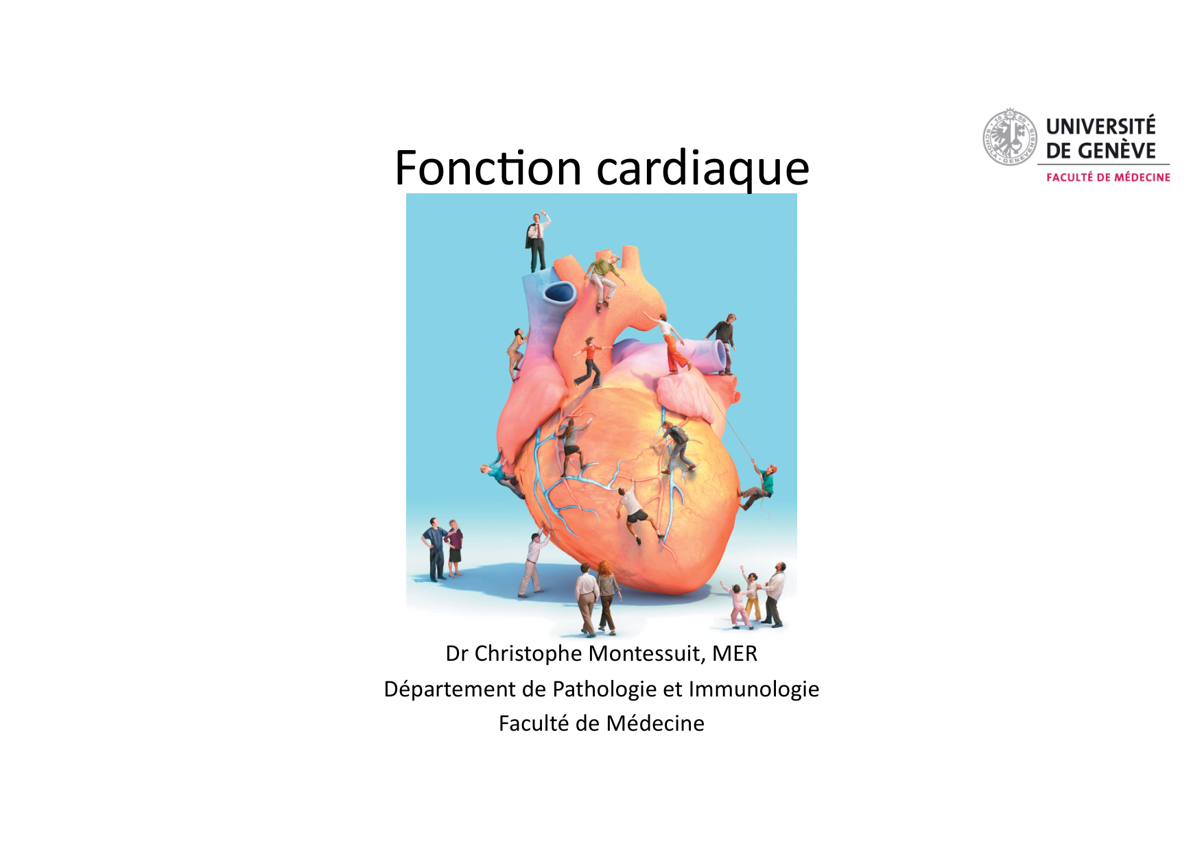 Fonction cardiaque page 1