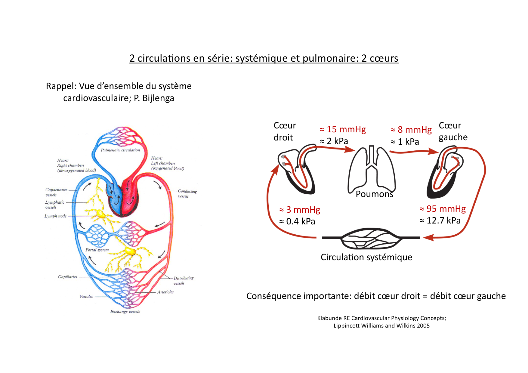 Fonction cardiaque page 4