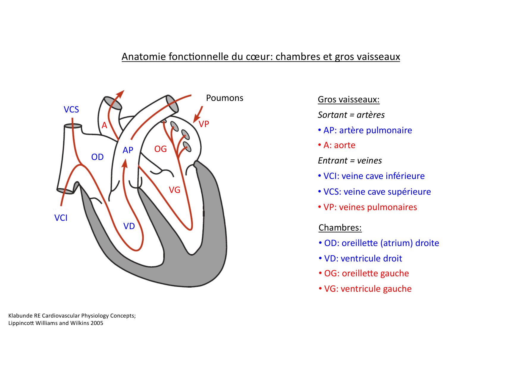 Fonction cardiaque page 5