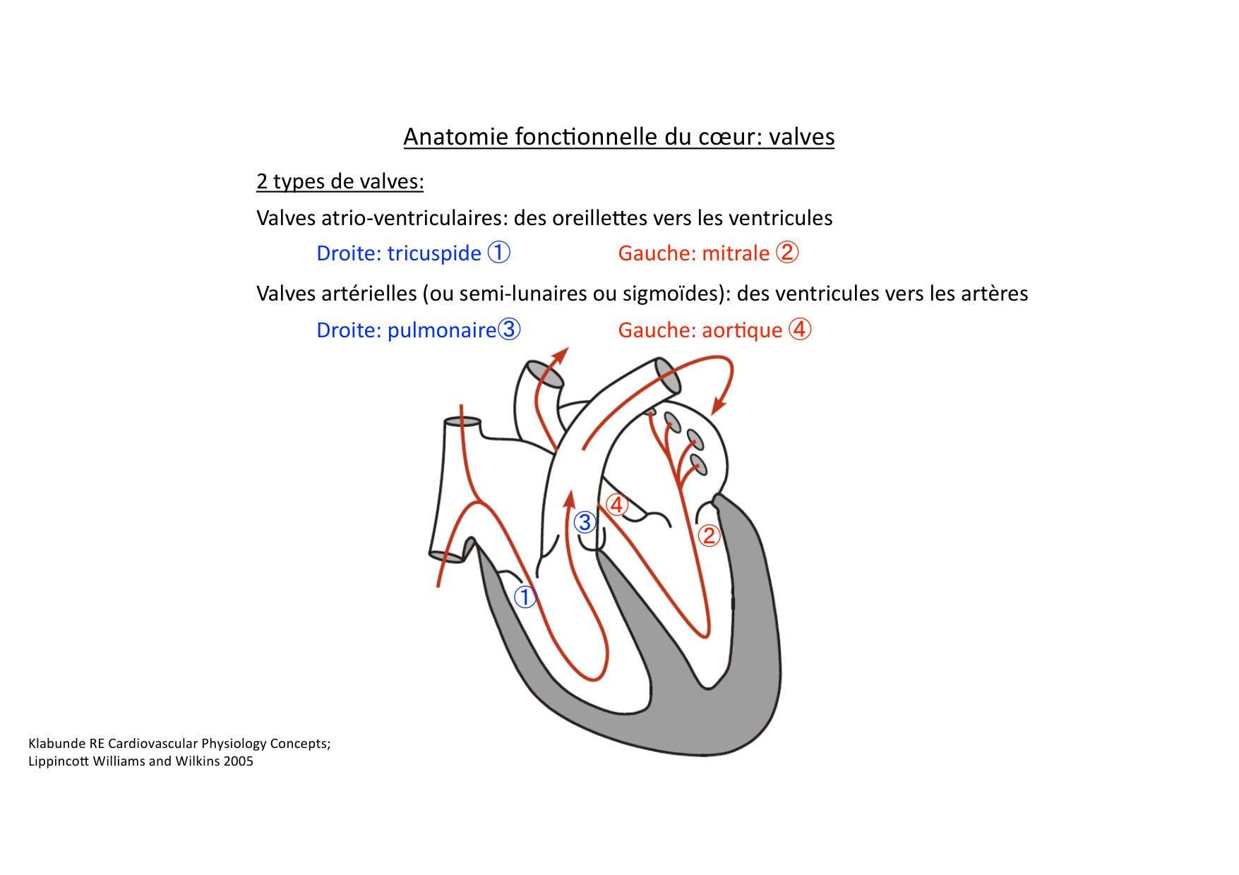 Fonction cardiaque page 6