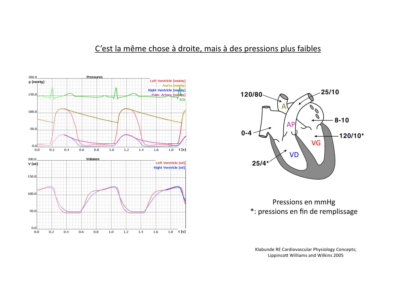 Fonction cardiaque page 24