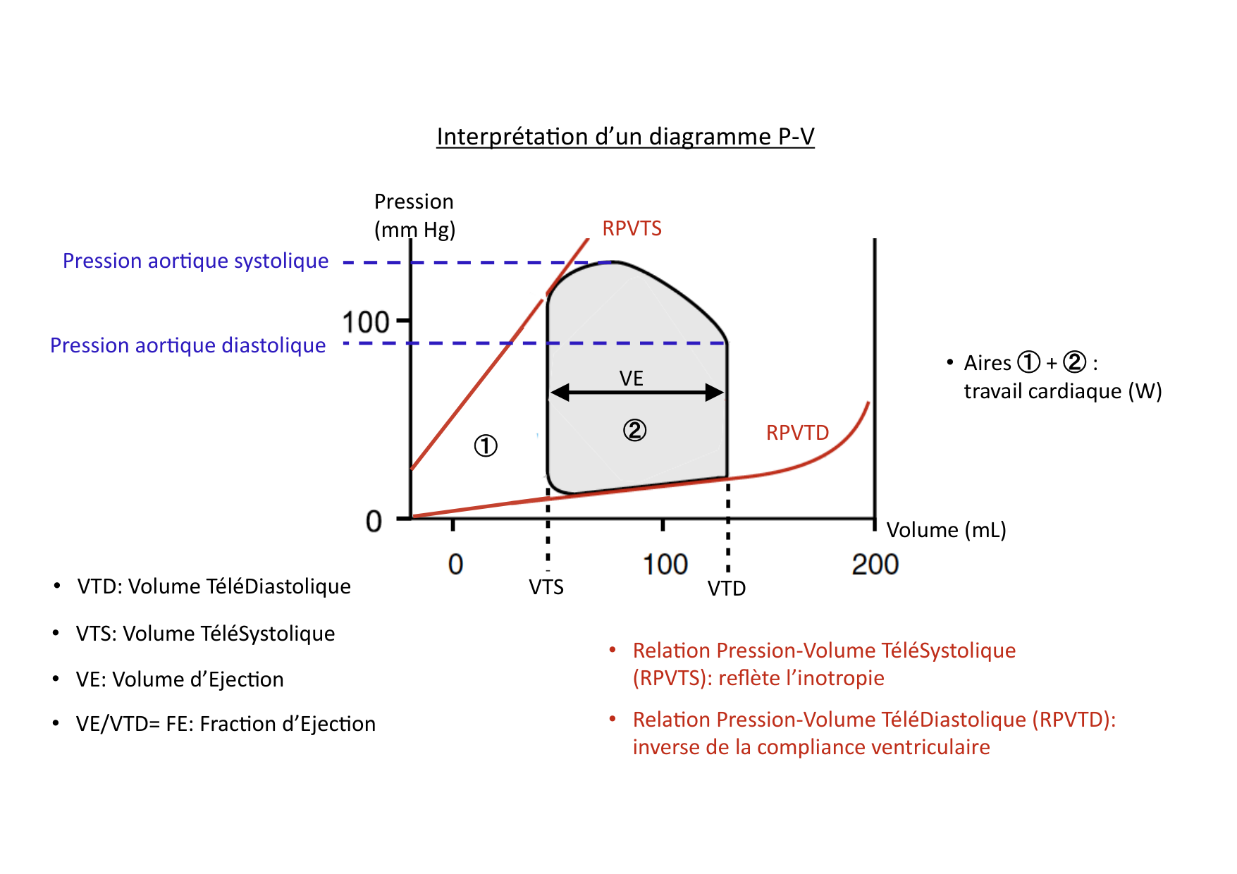 Fonction cardiaque page 29