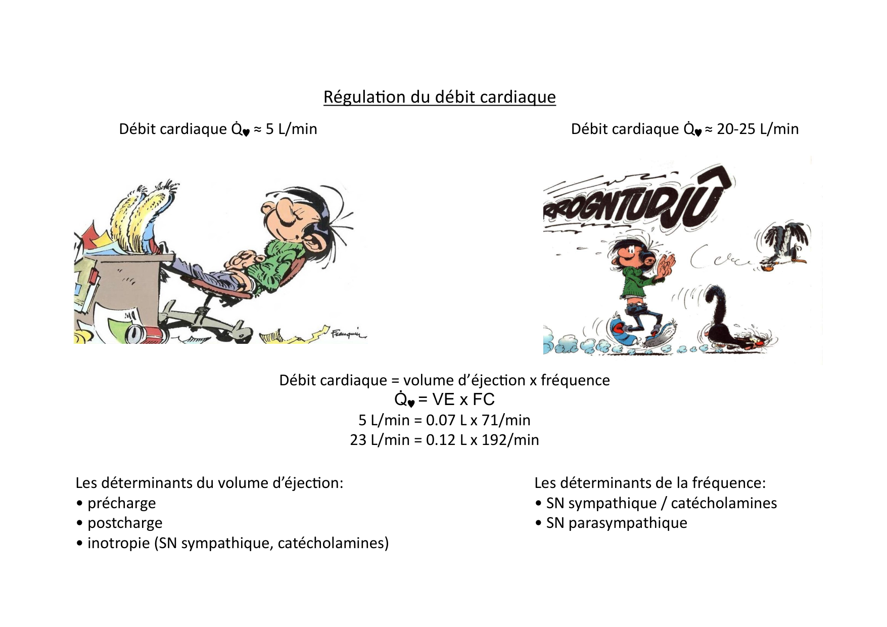 Fonction cardiaque page 32