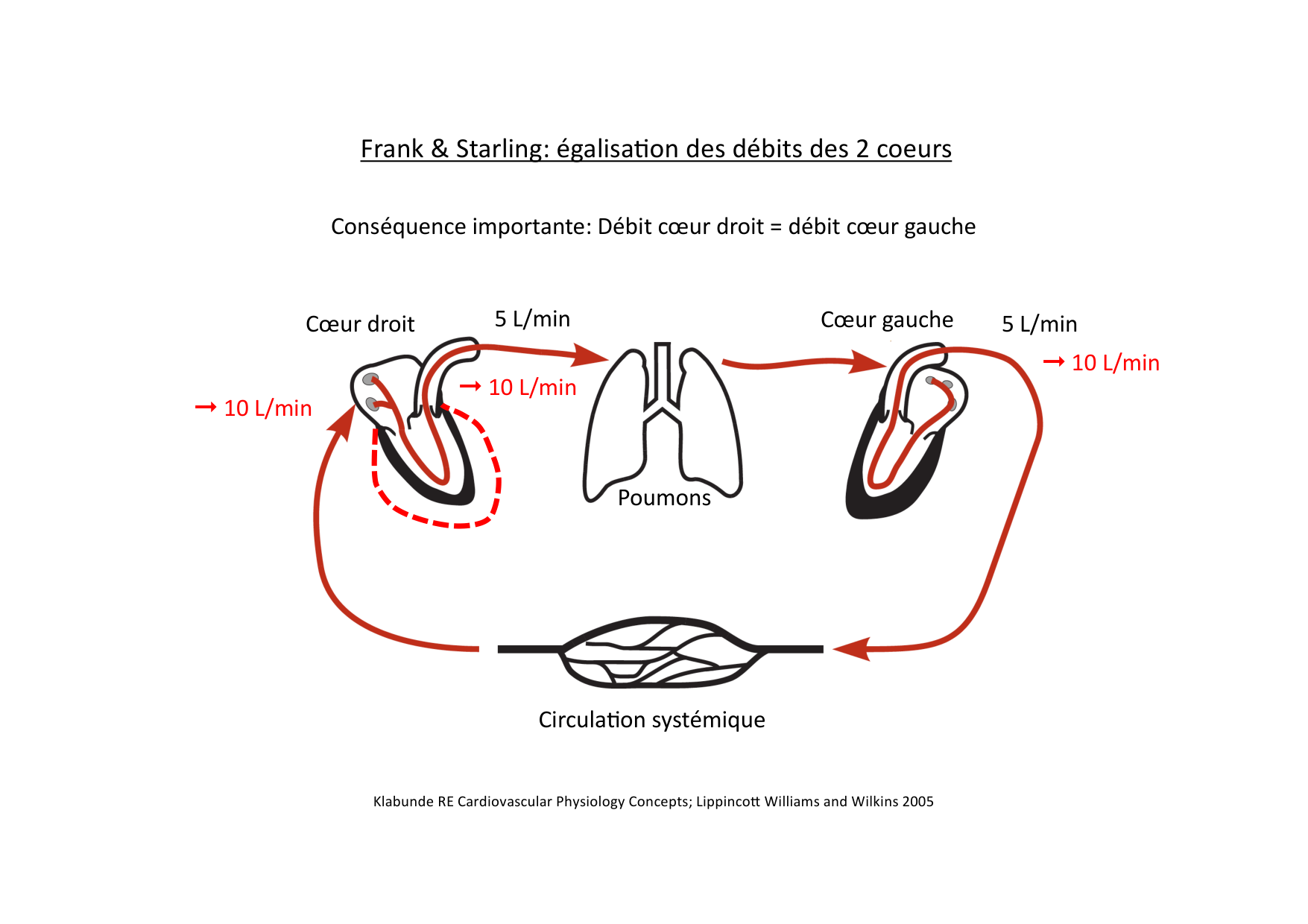 Fonction cardiaque page 38