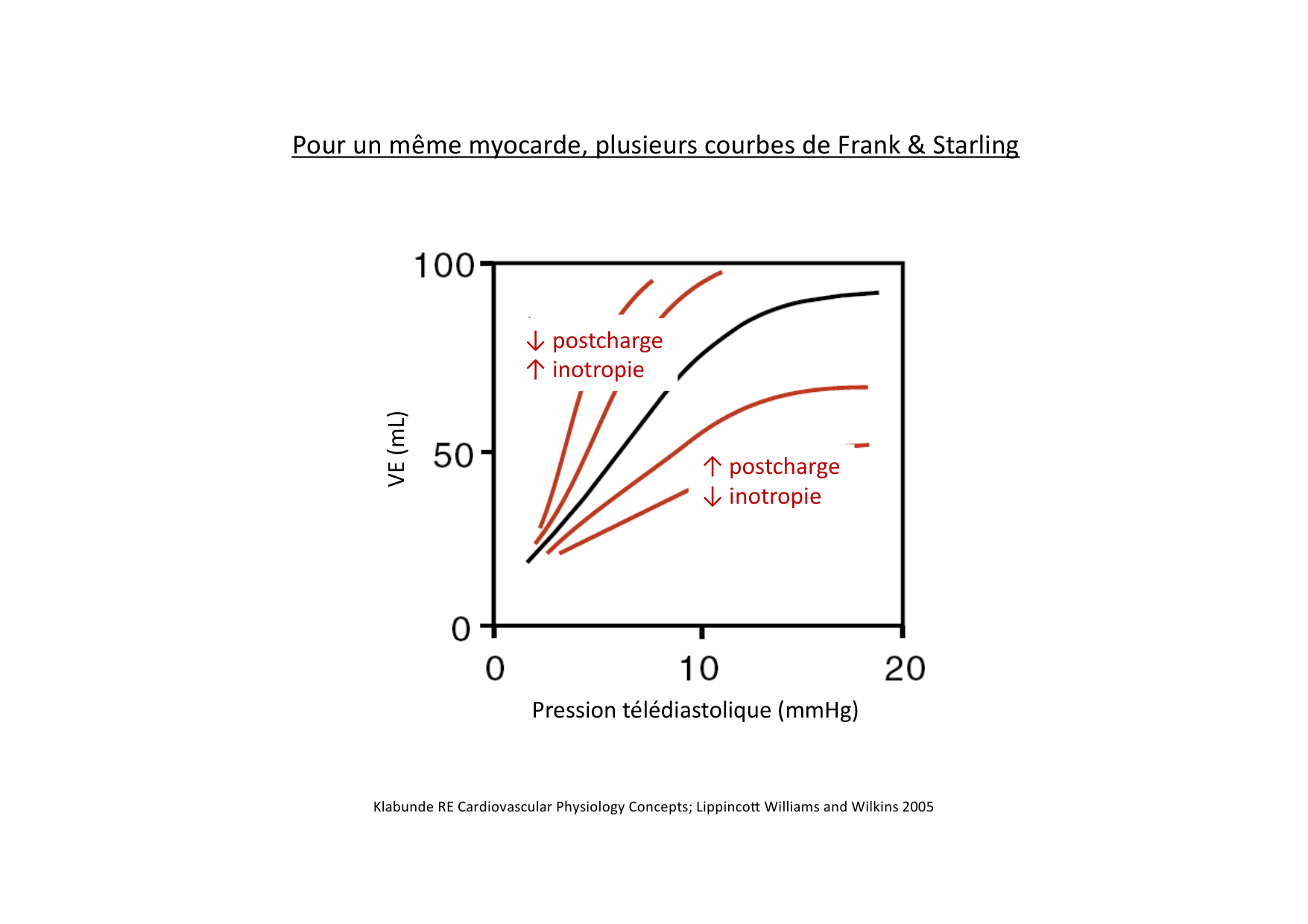 Fonction cardiaque page 39