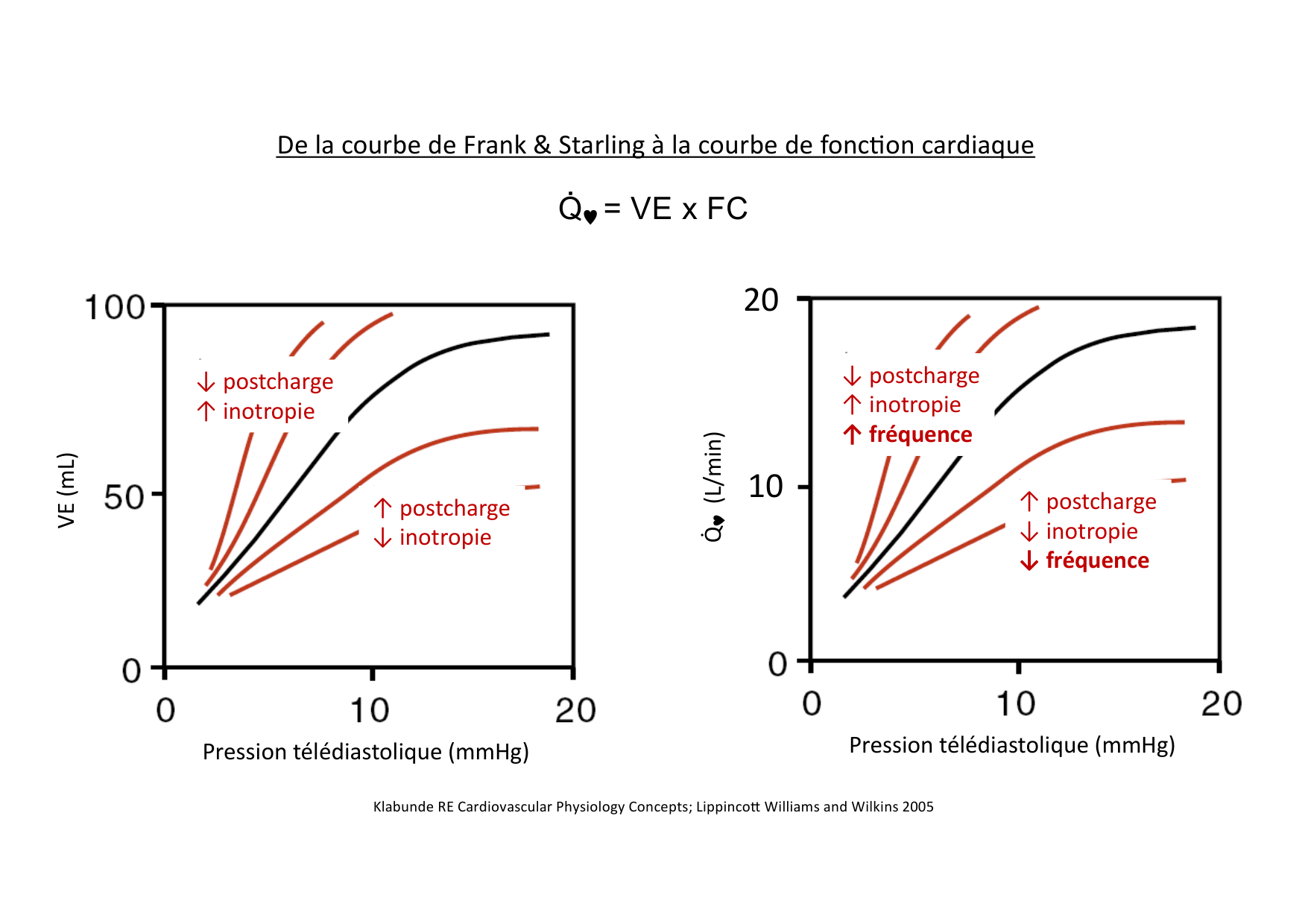 Fonction cardiaque page 40
