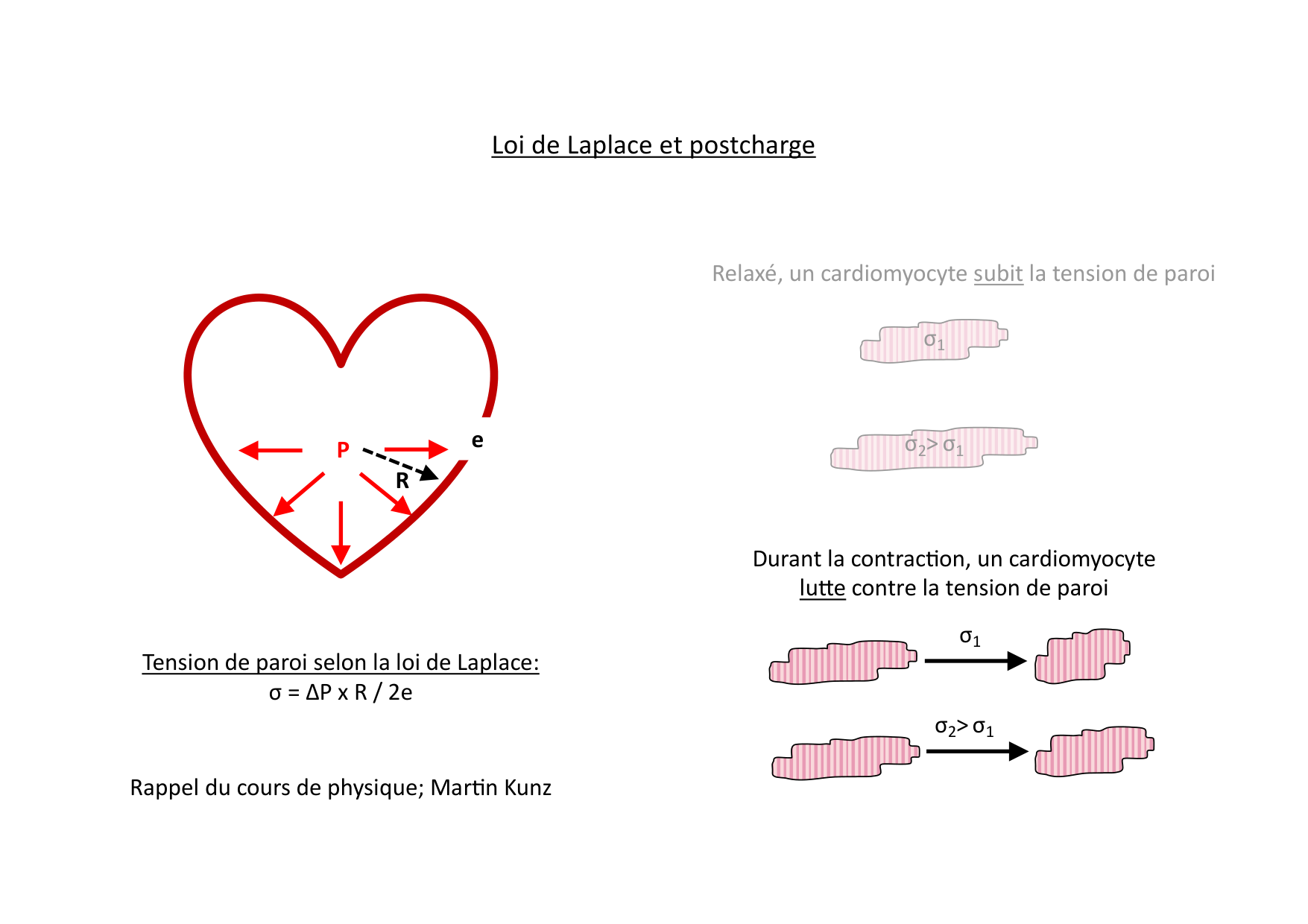Fonction cardiaque page 41