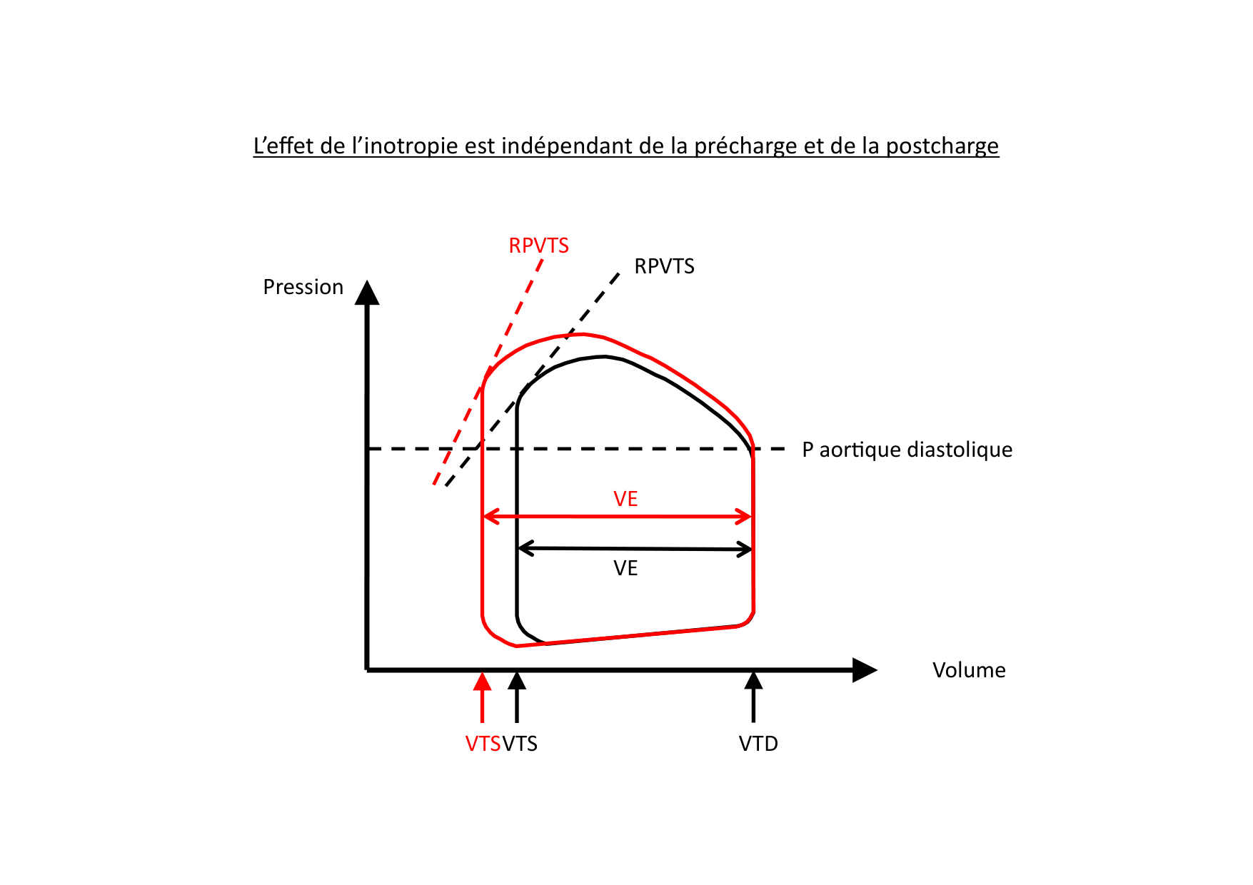 Fonction cardiaque page 44