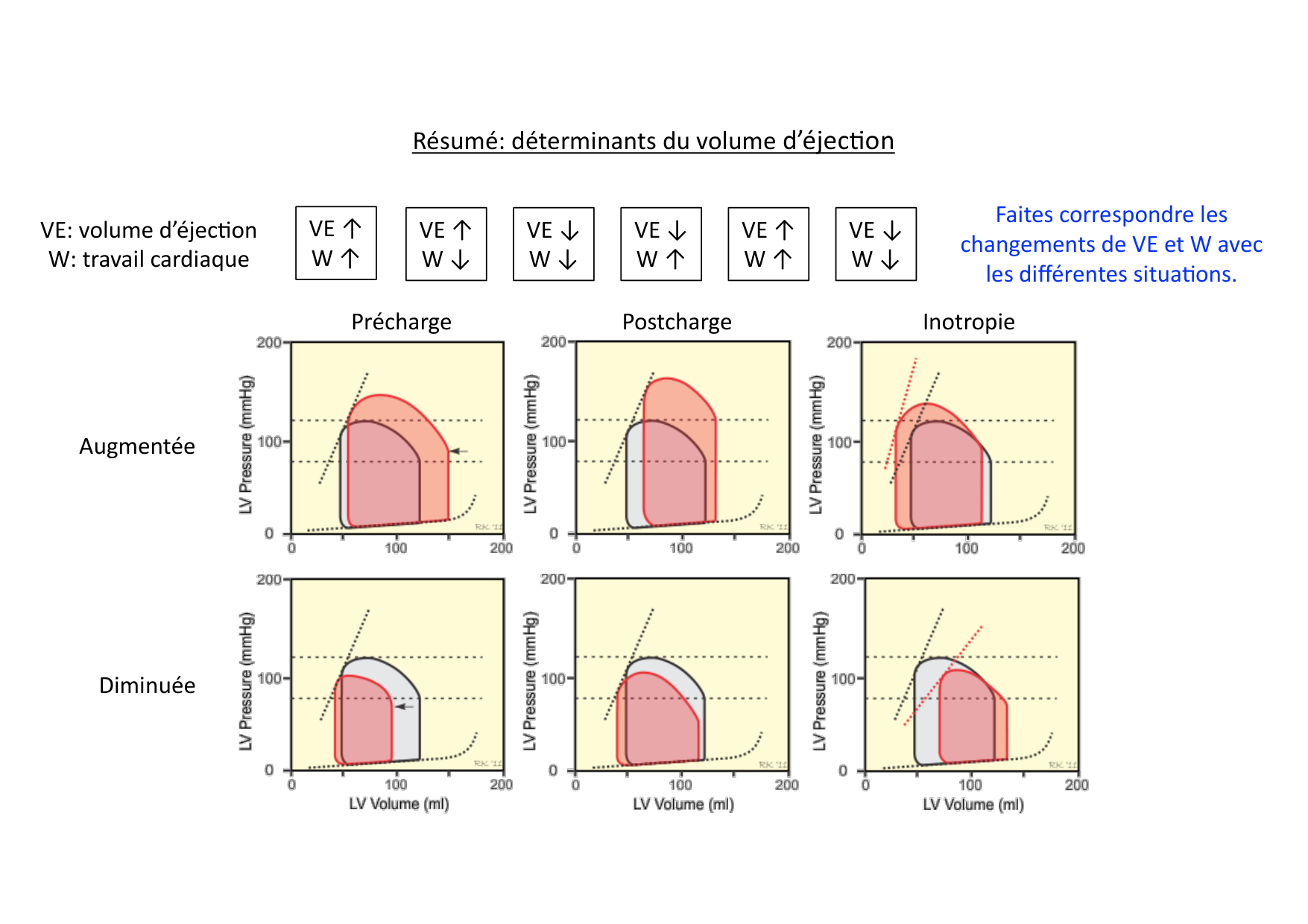 Fonction cardiaque page 46