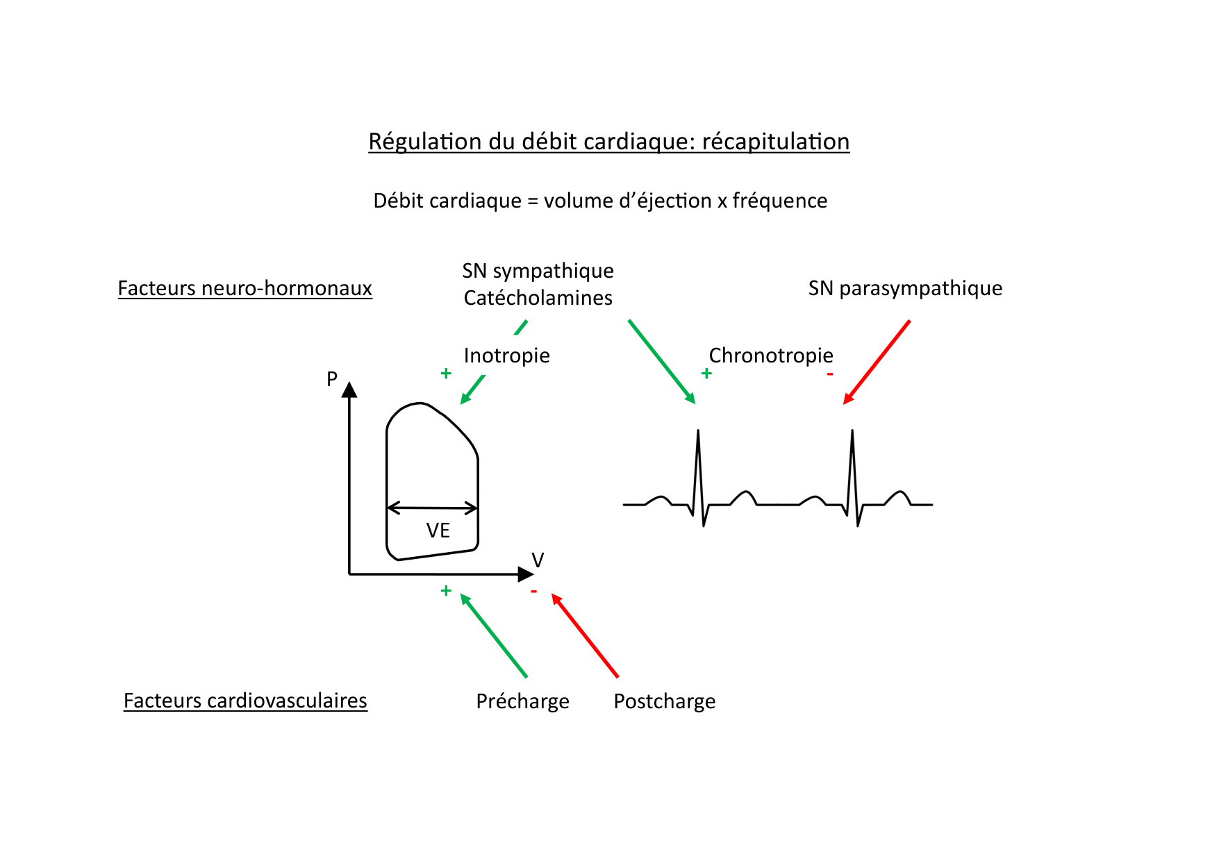 Fonction cardiaque page 47