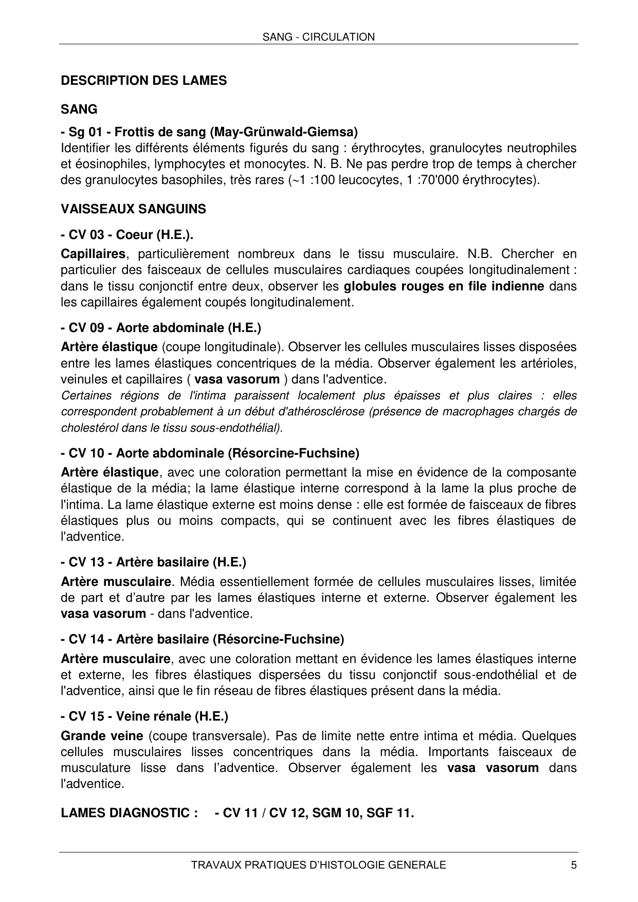 Histologie — sang et circulation page 5