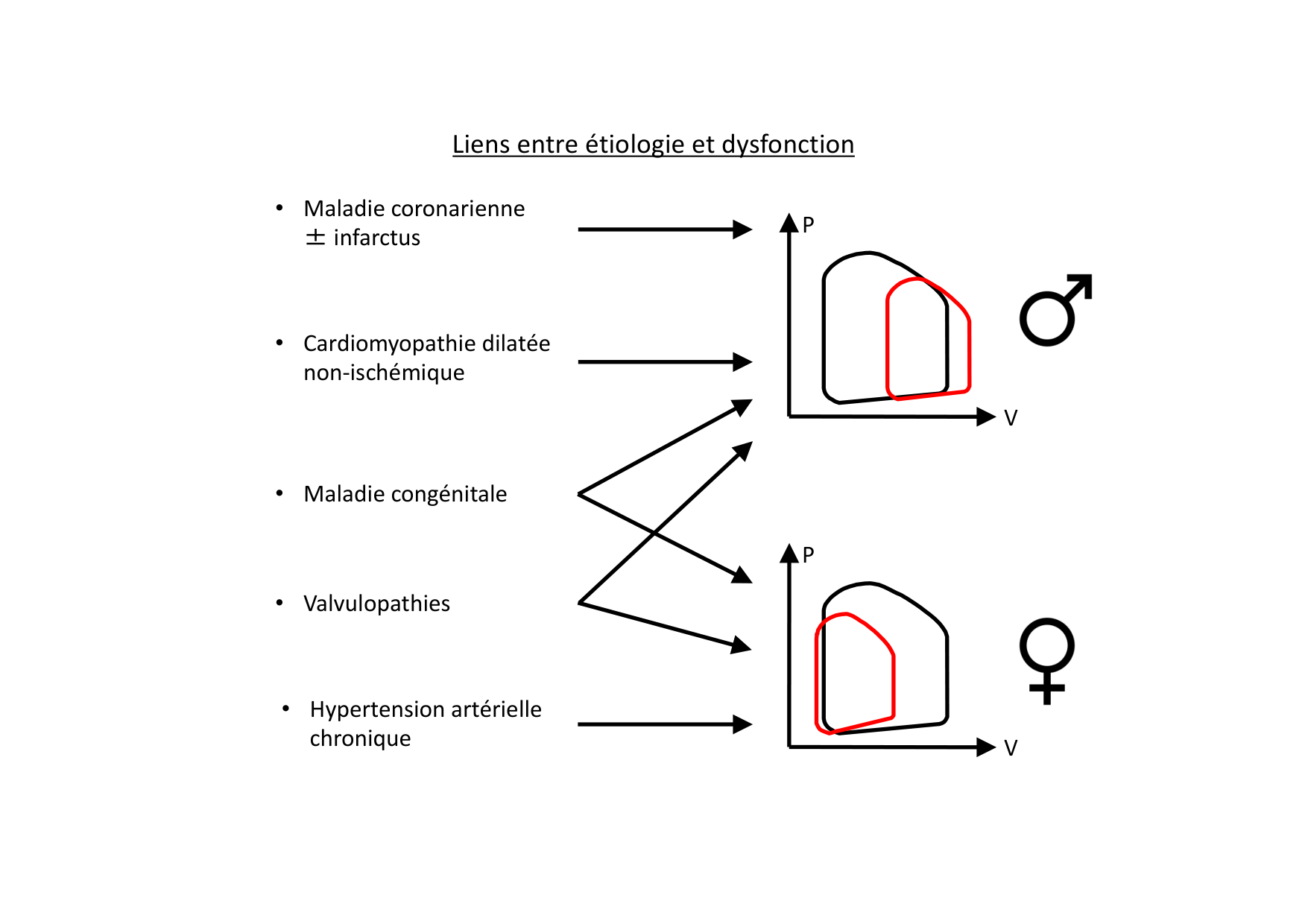 Insuffisance cardiaque page 16
