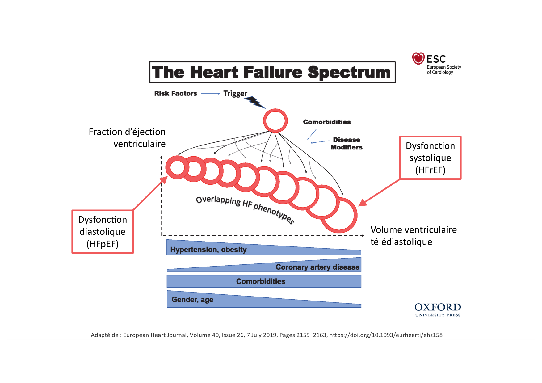 Insuffisance cardiaque page 18