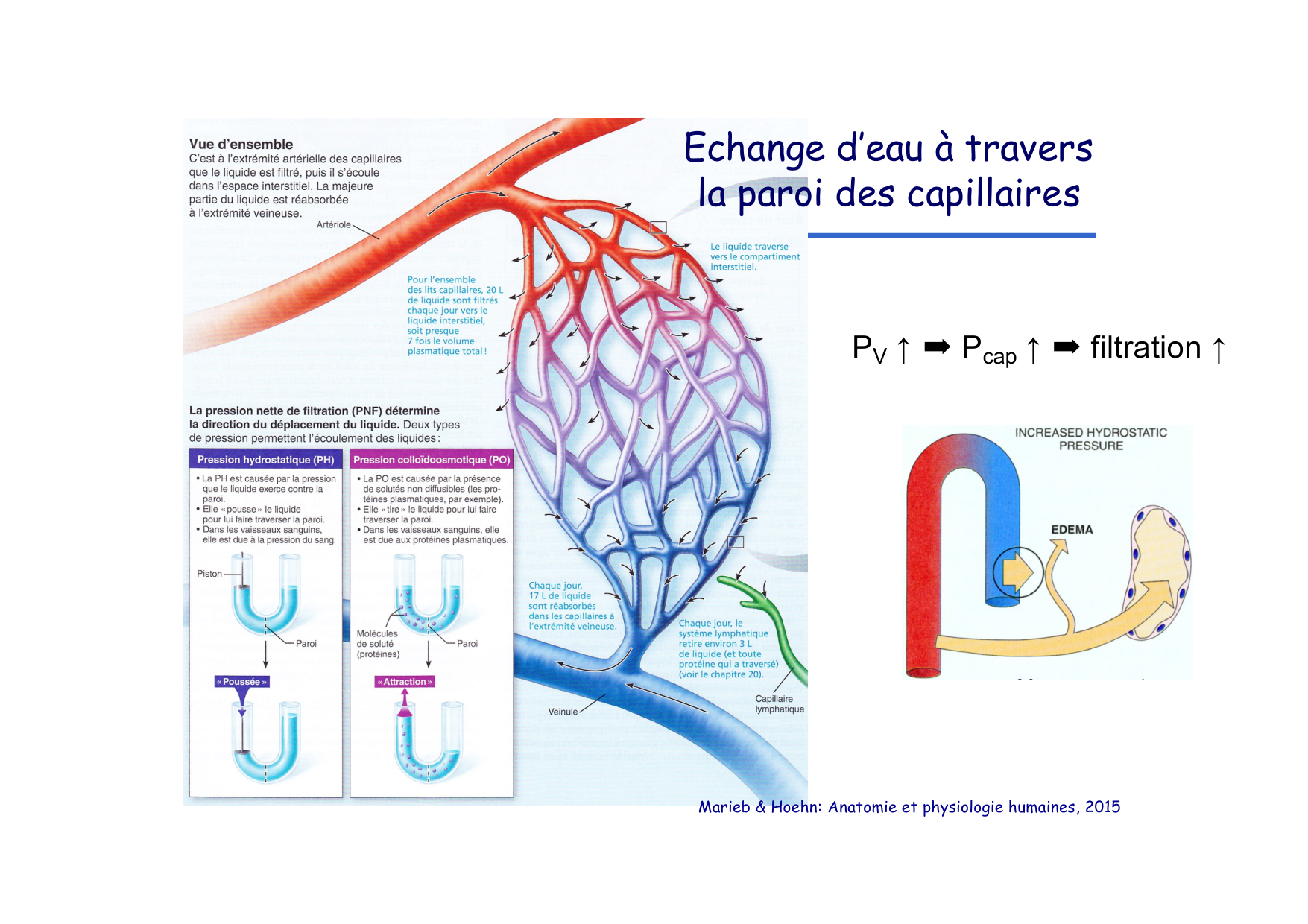 Insuffisance cardiaque page 20