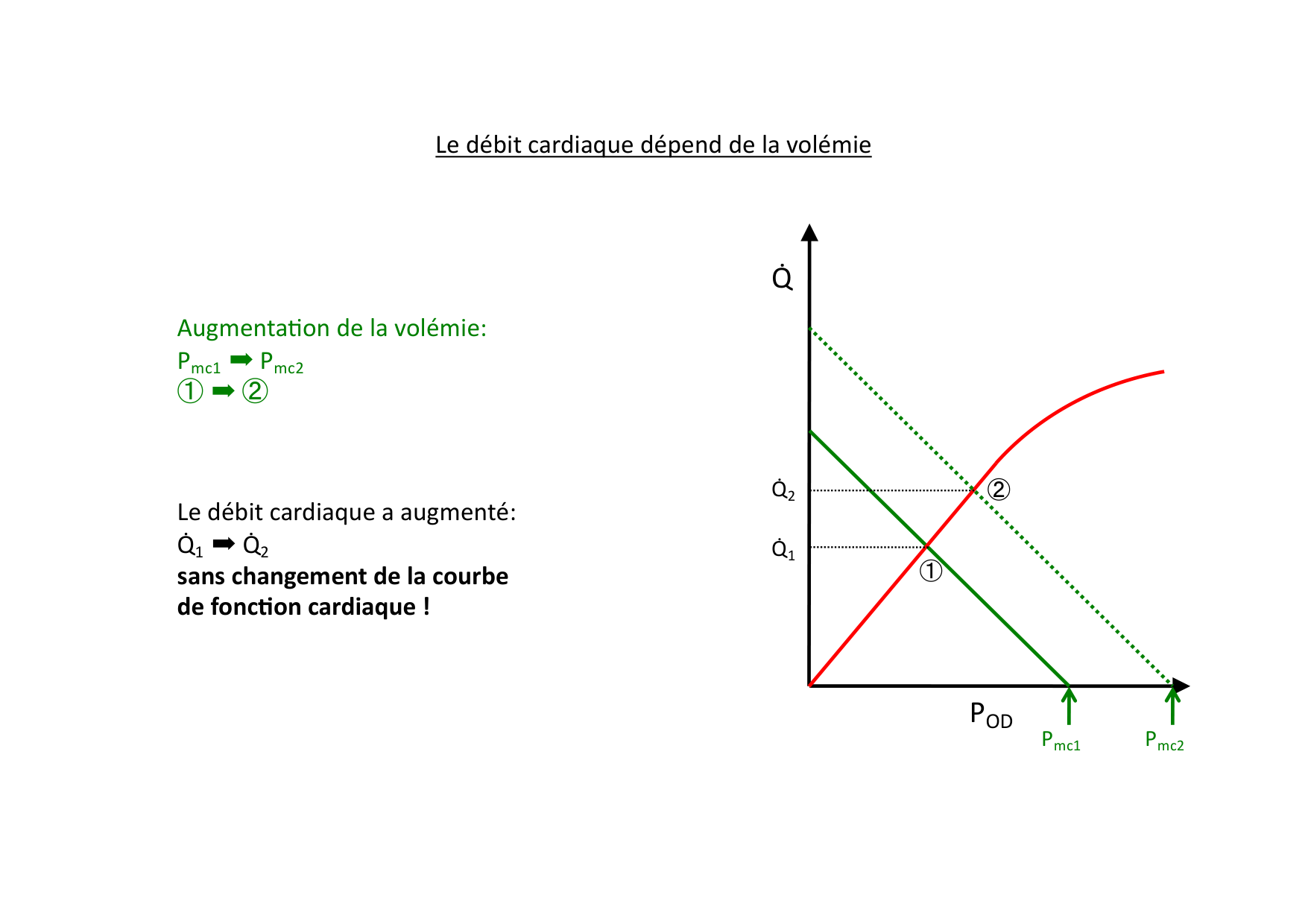 Insuffisance cardiaque page 24